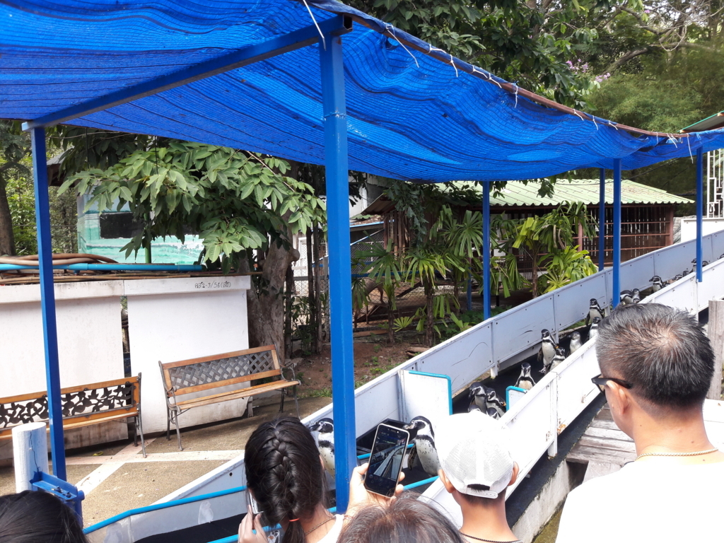 f:id:JasmineMali:20170905154252j:plain