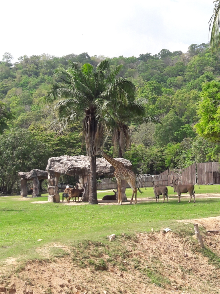 f:id:JasmineMali:20170905154651j:plain