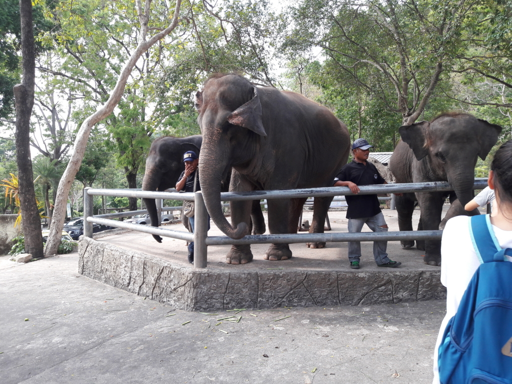 f:id:JasmineMali:20170905154759j:plain