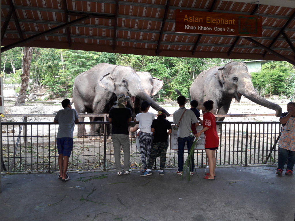 f:id:JasmineMali:20170905155009j:plain