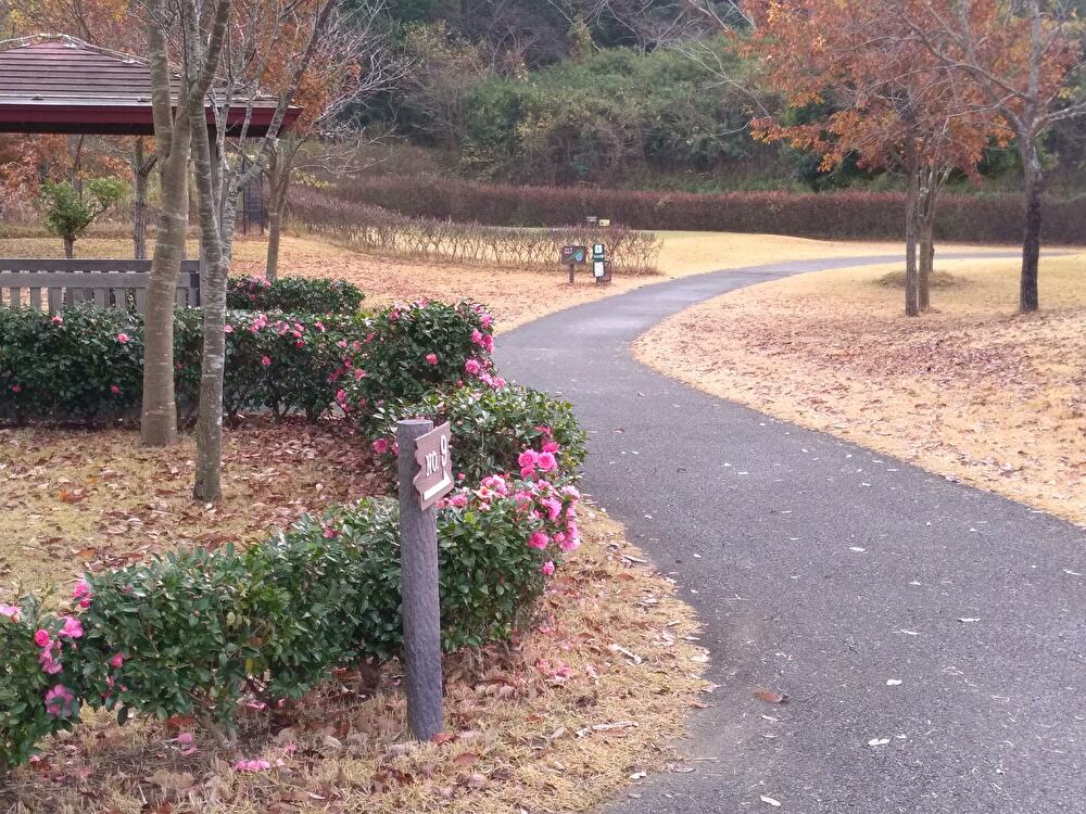 f:id:Jay17:20201213113126j:plain