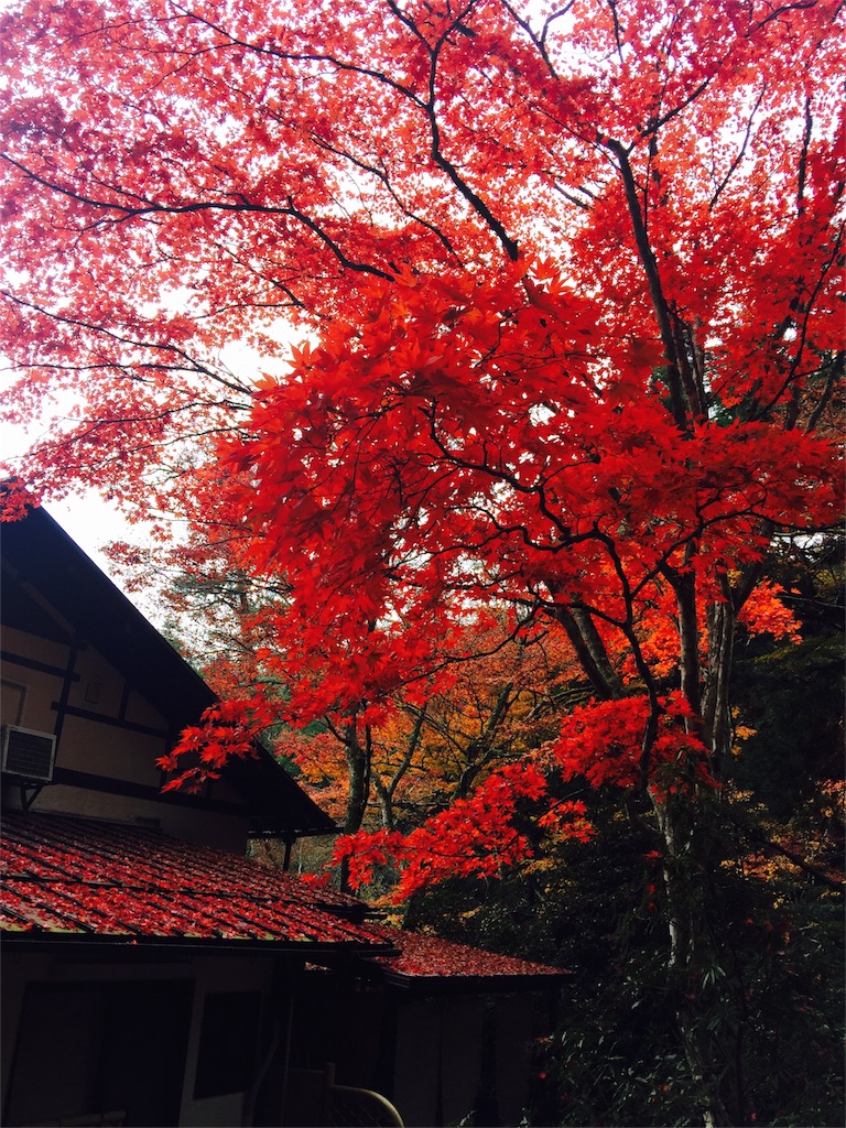 f:id:Jayk2016:20161121125314j:image