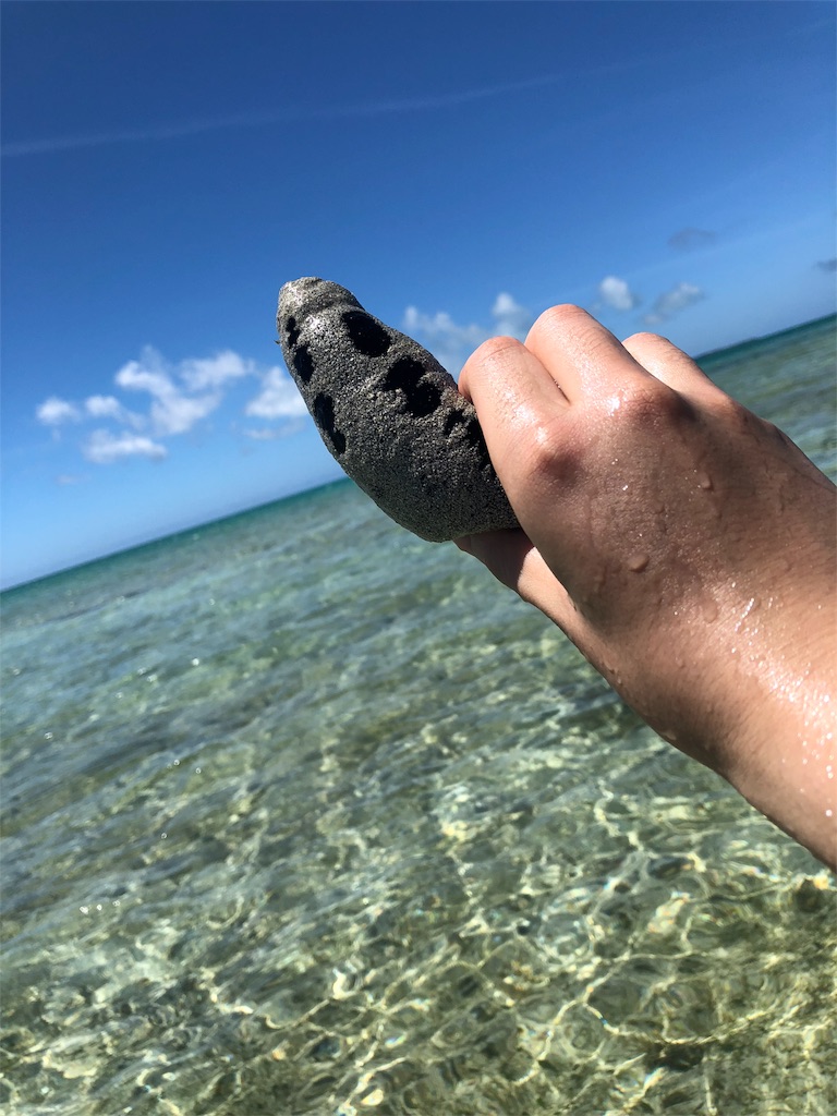 f:id:JediS:20180811112946j:image f:id:JediS:20180811112946j:image