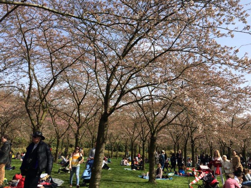 f:id:Jhelpdesk:20180409173651j:image:w360
