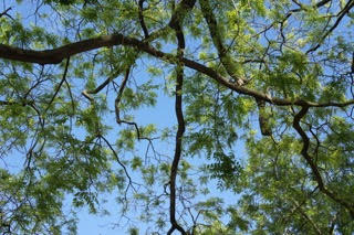 f:id:Jhelpdesk:20200707173752j:plain f:id:Jhelpdesk:20200707173752j:plain