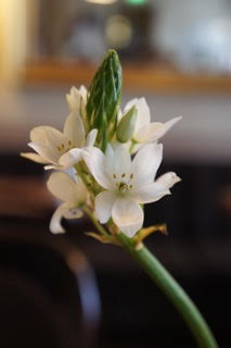 f:id:Jhelpdesk:20200707173910j:plain f:id:Jhelpdesk:20200707173910j:plain