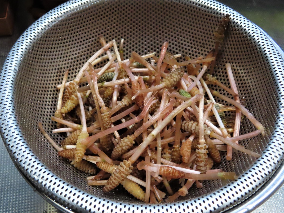 f:id:Jhon_Wells:20200323174604j:plain