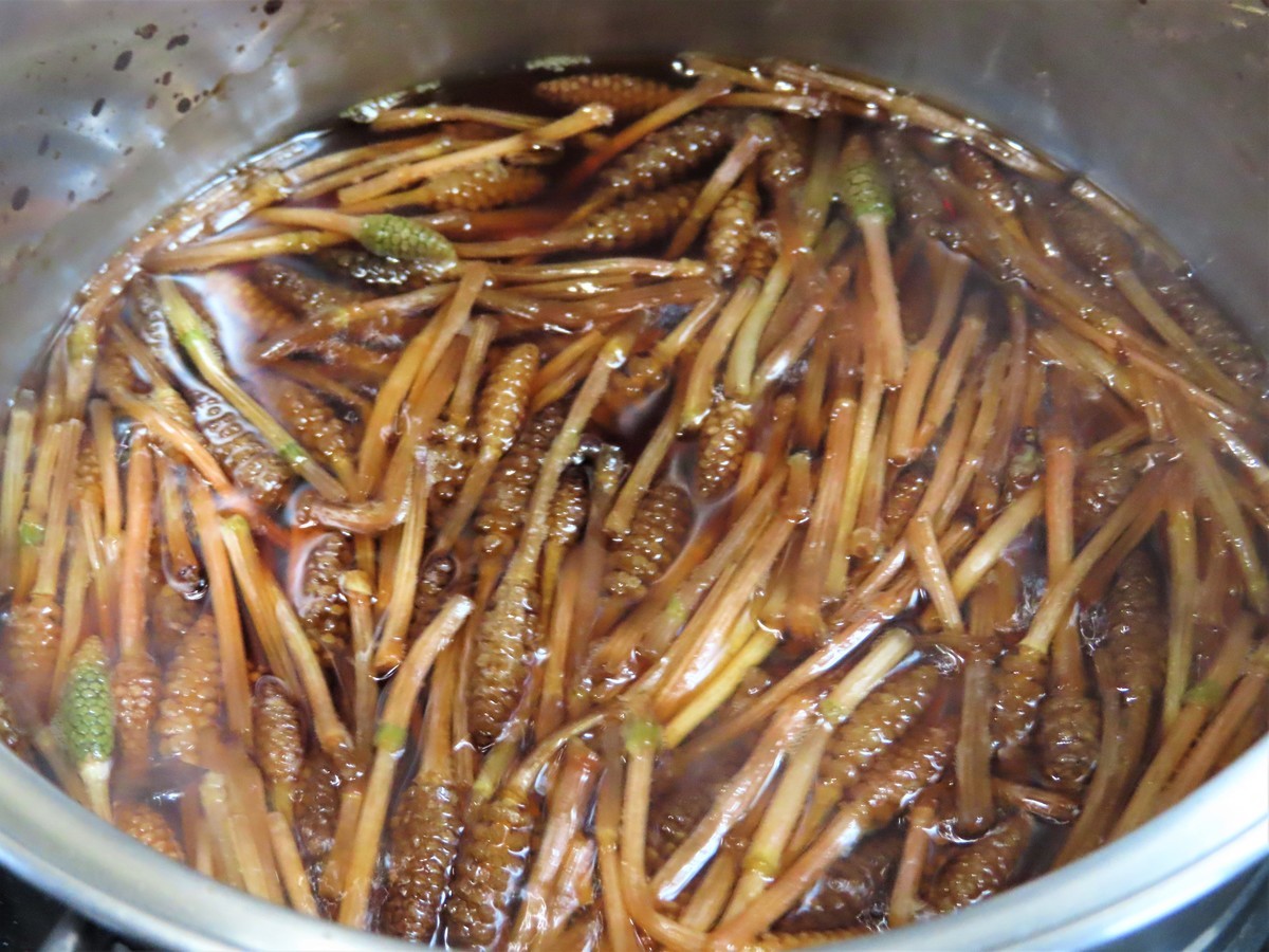 f:id:Jhon_Wells:20200323175113j:plain