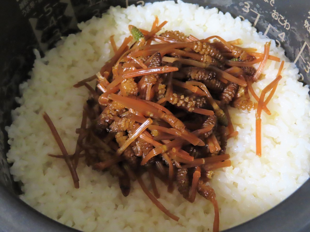 f:id:Jhon_Wells:20200323181725j:plain