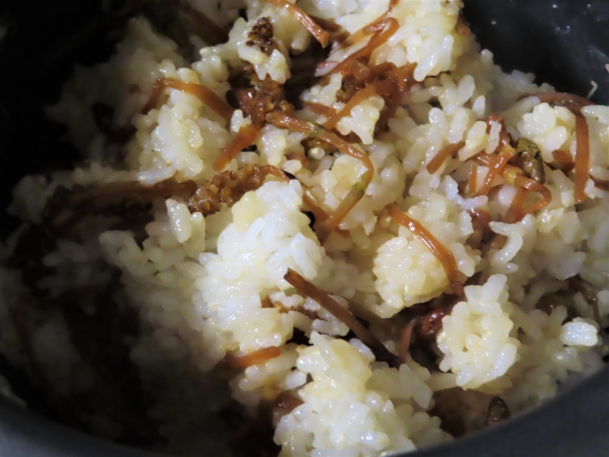 f:id:Jhon_Wells:20200323181834j:plain