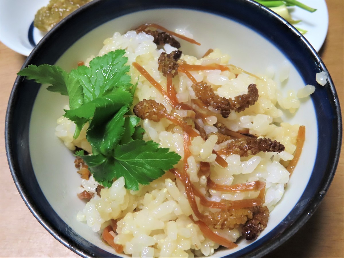 f:id:Jhon_Wells:20200323182020j:plain