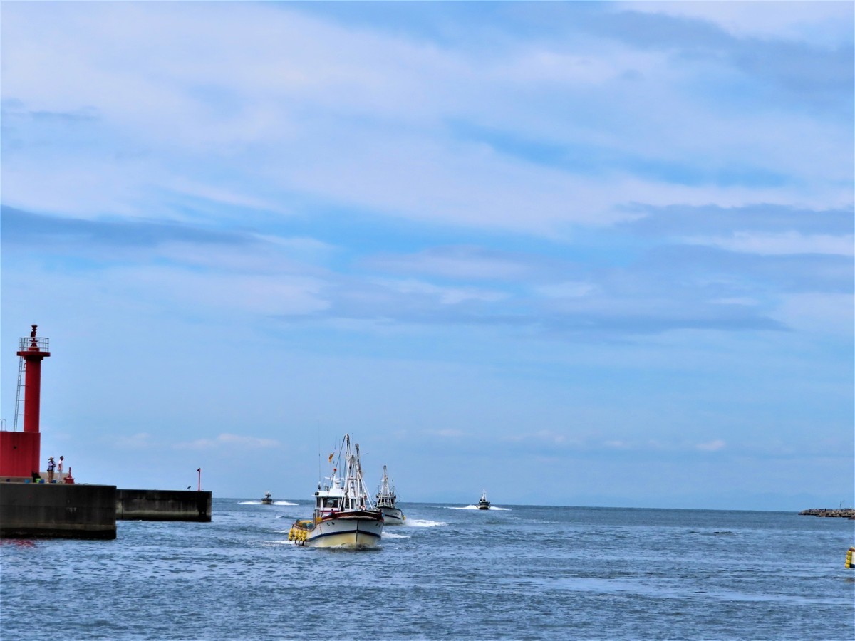 f:id:Jhon_Wells:20200702094722j:plain