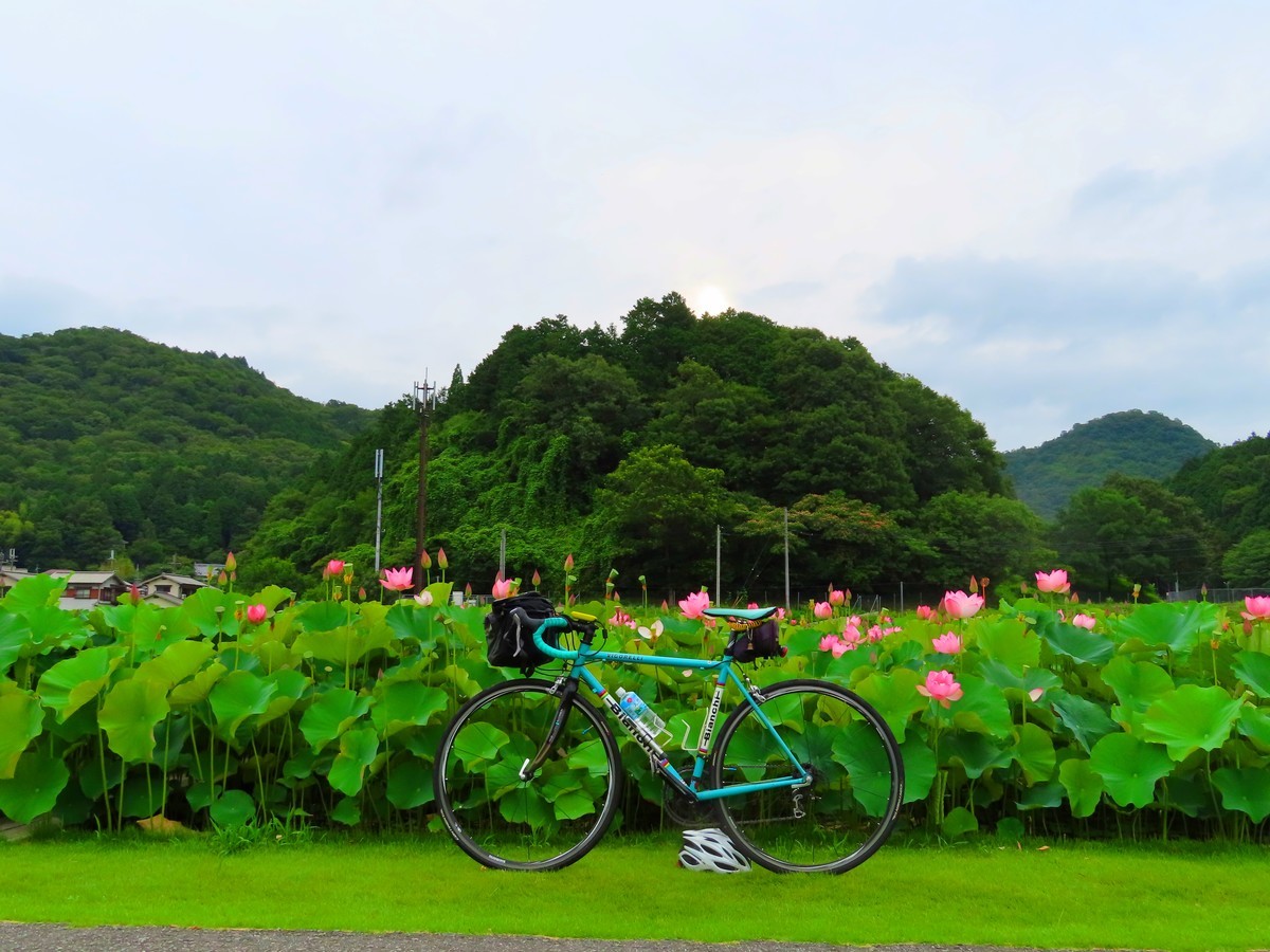 f:id:Jhon_Wells:20200703062610j:plain