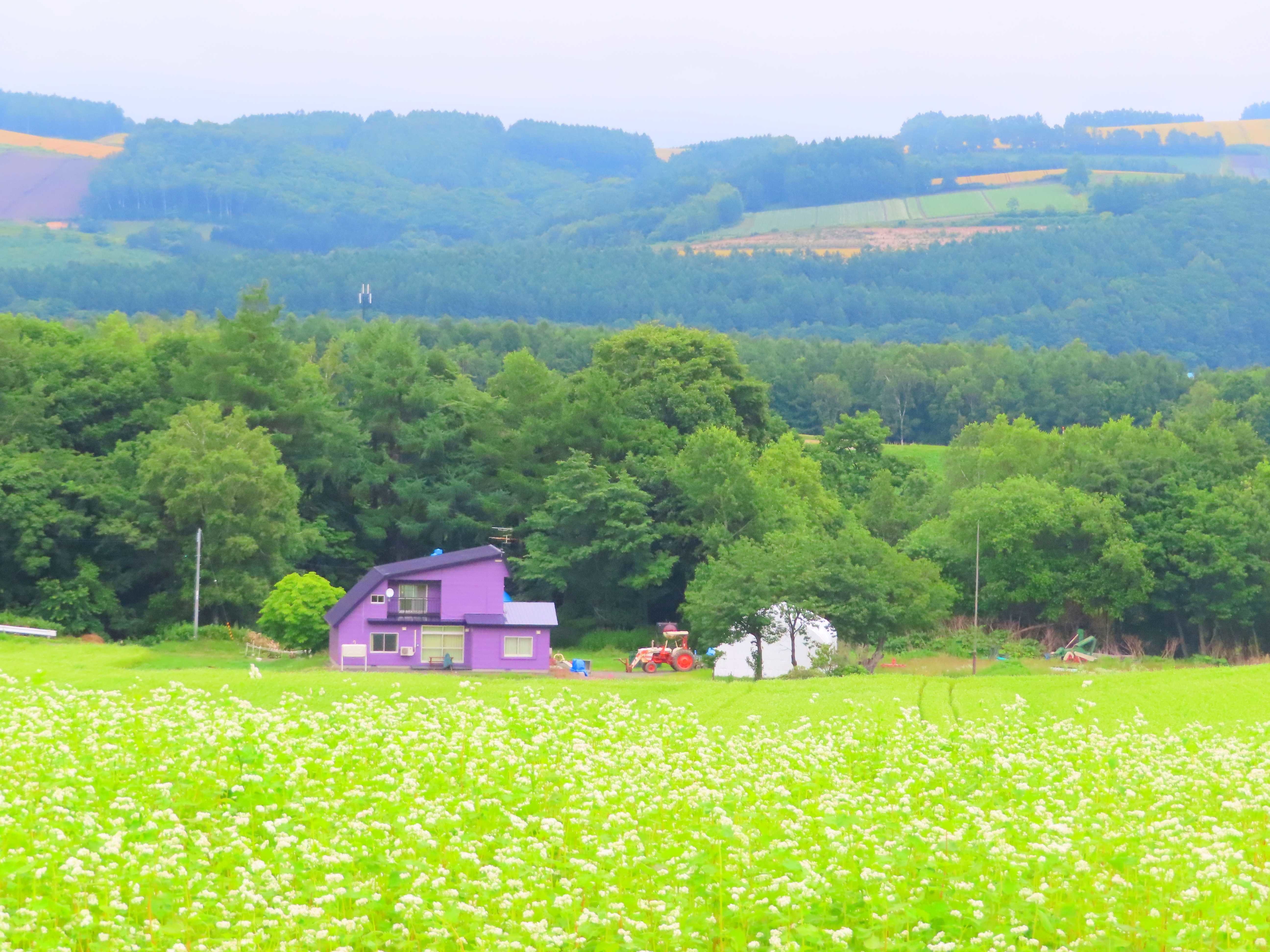 f:id:Jhon_Wells:20200713062604j:plain f:id:Jhon_Wells:20200713062604j:plain