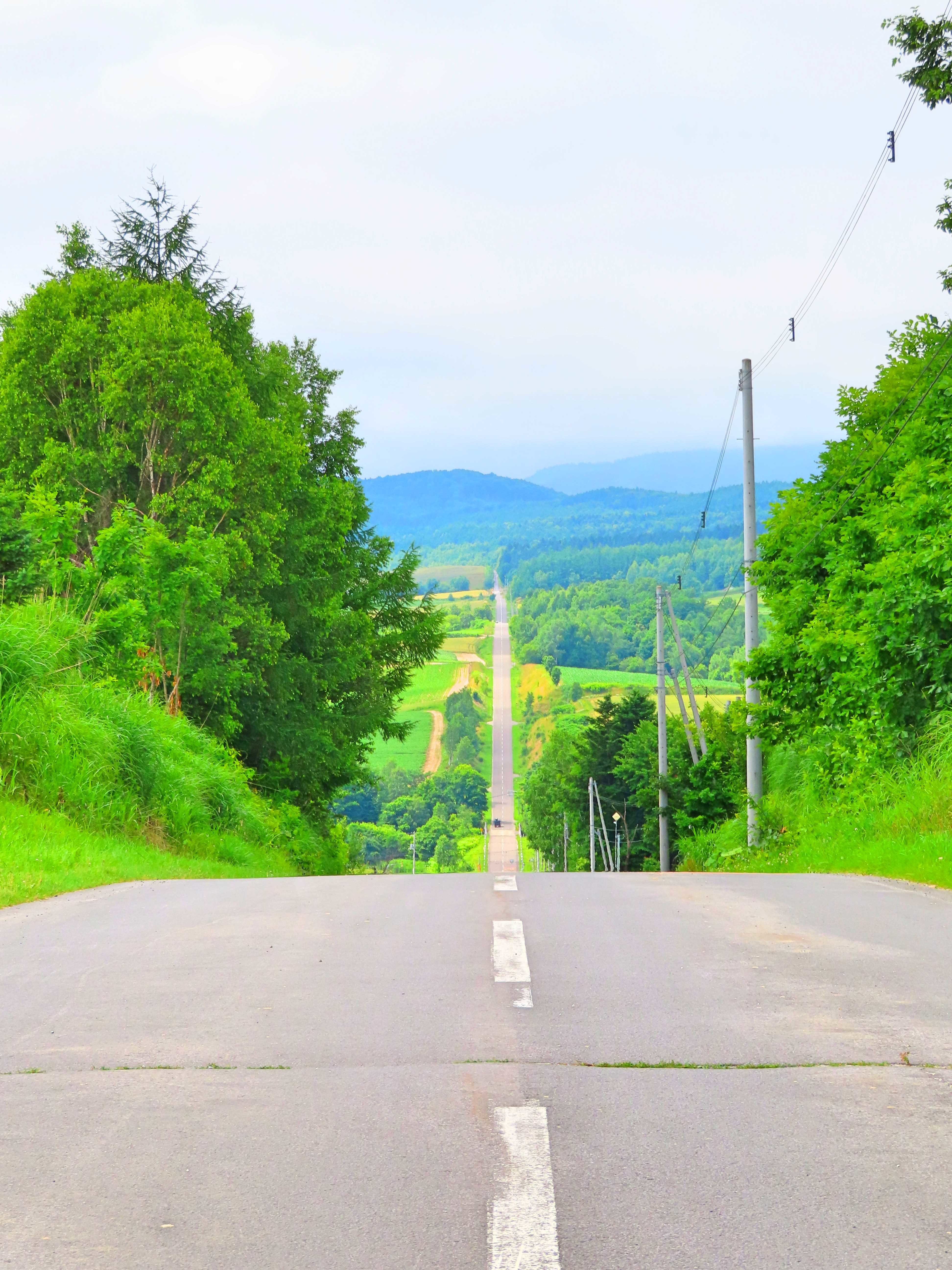 f:id:Jhon_Wells:20200713095246j:plain f:id:Jhon_Wells:20200713095246j:plain