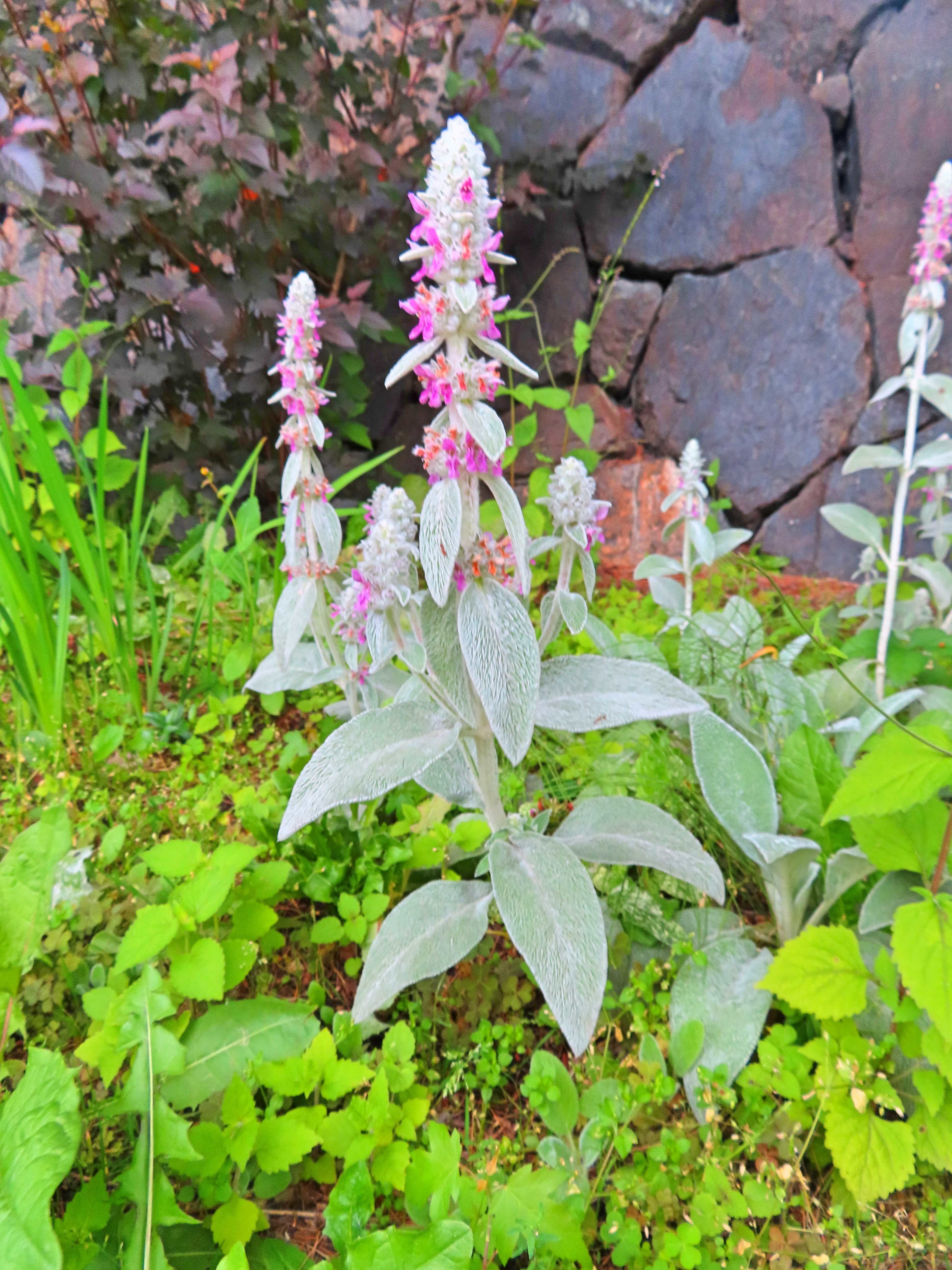 f:id:Jhon_Wells:20200714061630j:plain f:id:Jhon_Wells:20200714061630j:plain