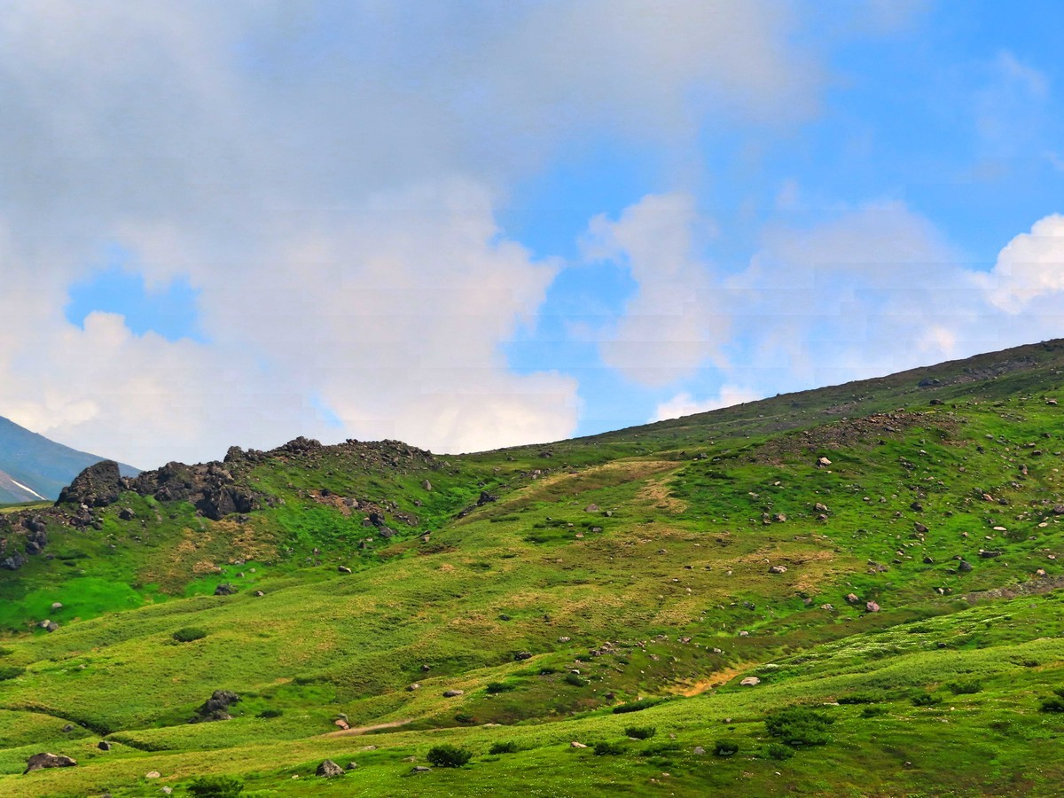 f:id:Jhon_Wells:20200717103616j:plain f:id:Jhon_Wells:20200717103616j:plain