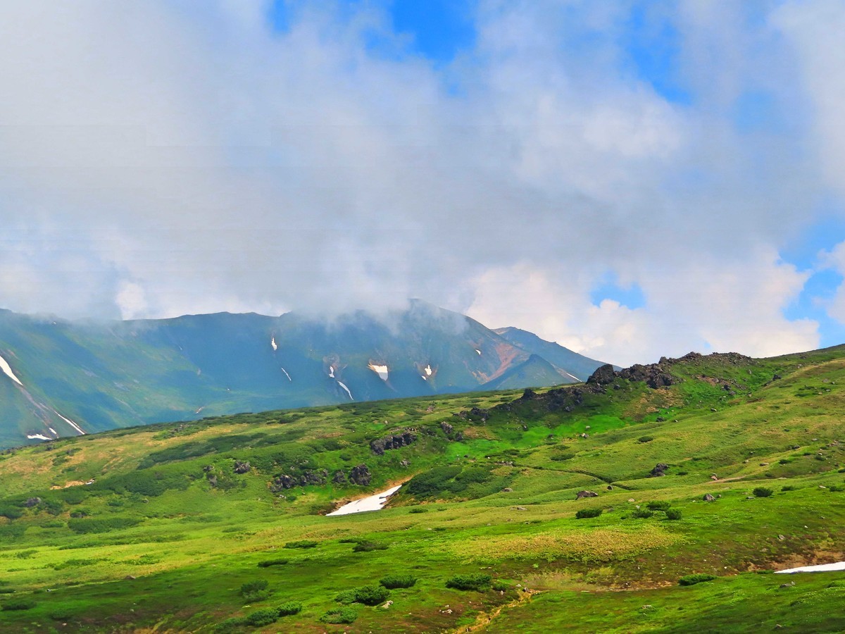 f:id:Jhon_Wells:20200717103624j:plain f:id:Jhon_Wells:20200717103624j:plain