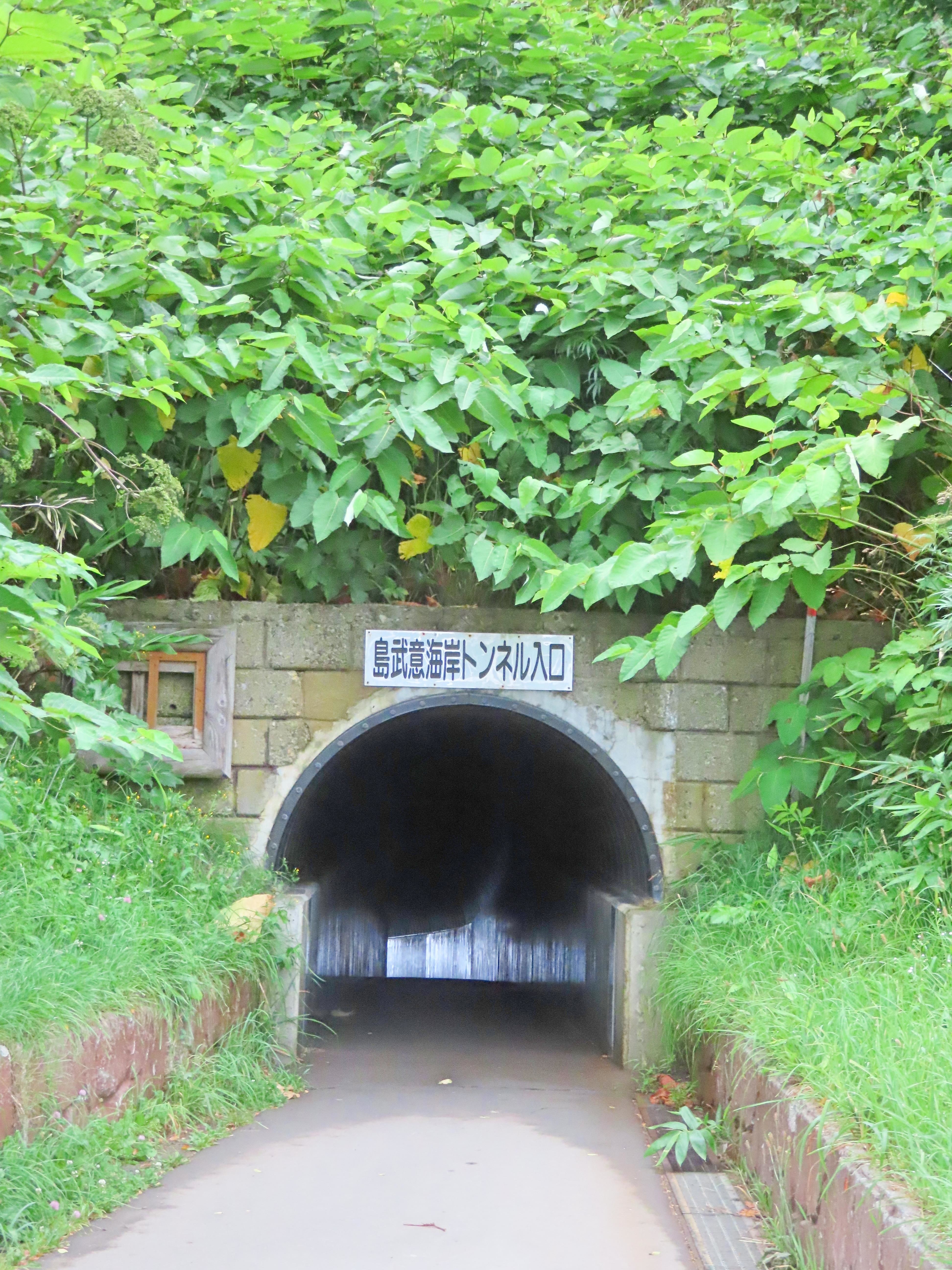 f:id:Jhon_Wells:20200722054438j:plain f:id:Jhon_Wells:20200722054438j:plain