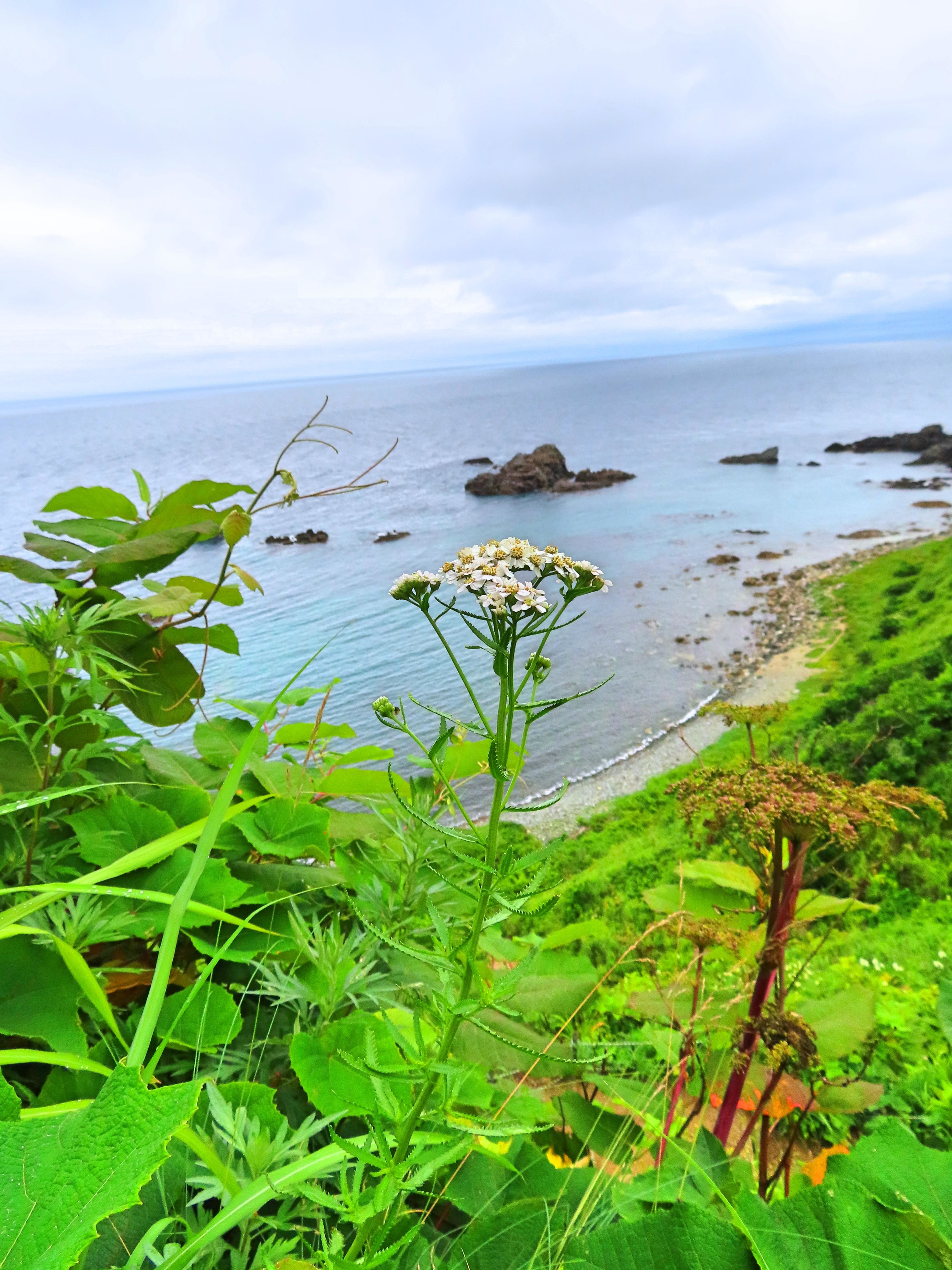 f:id:Jhon_Wells:20200722055237j:plain f:id:Jhon_Wells:20200722055237j:plain