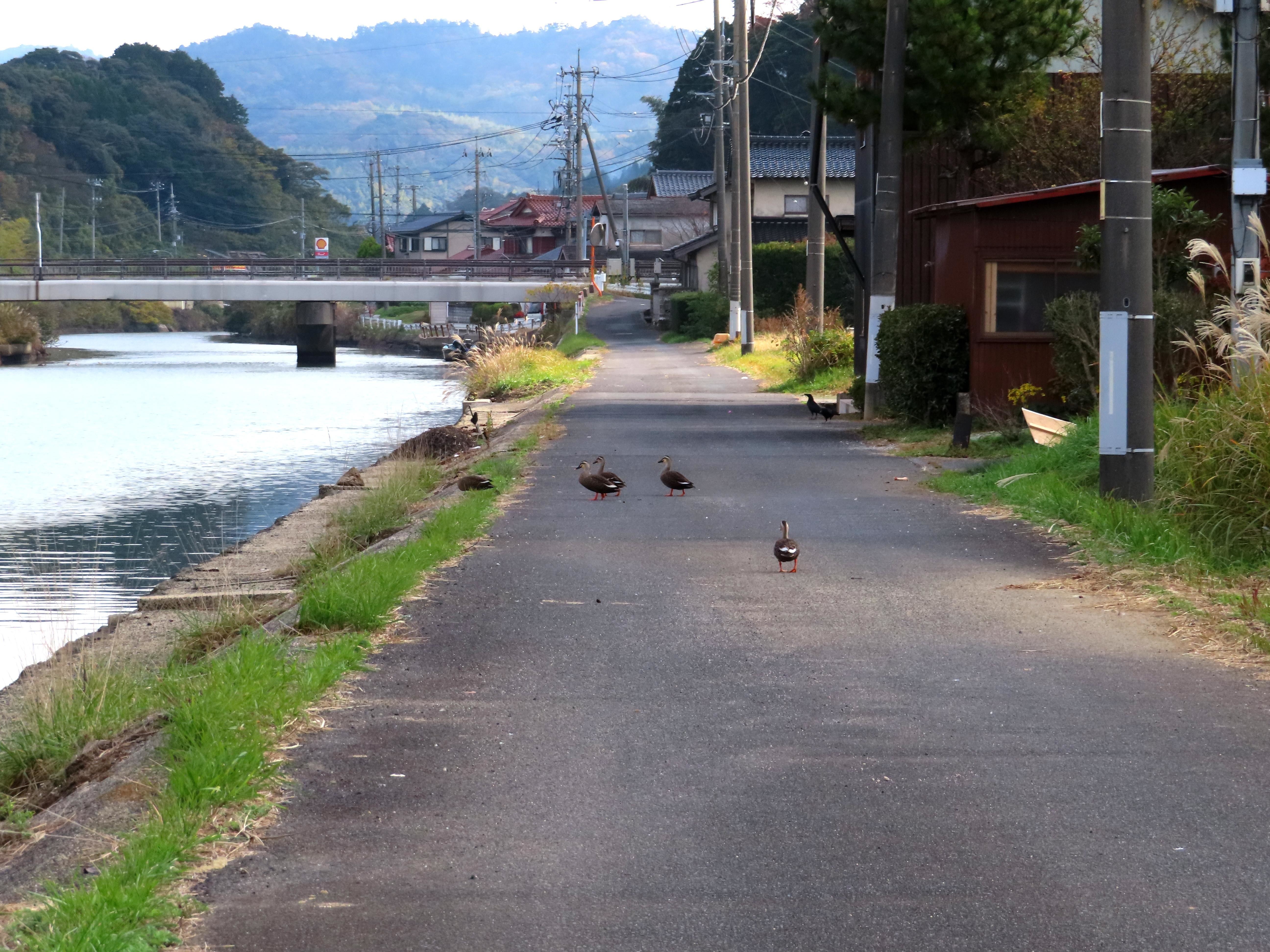 f:id:Jhon_Wells:20201116104753j:plain
