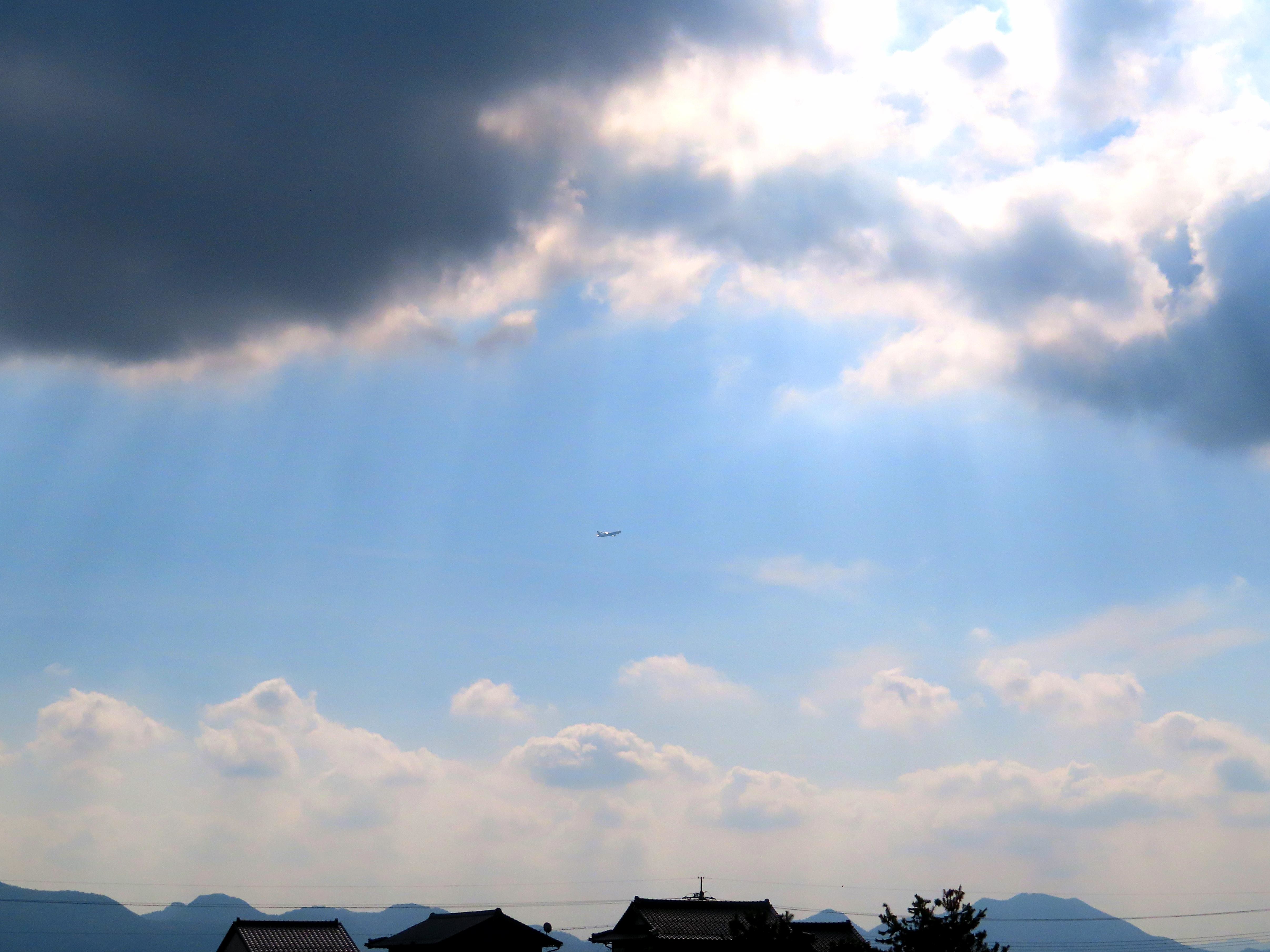 f:id:Jhon_Wells:20201116124110j:plain