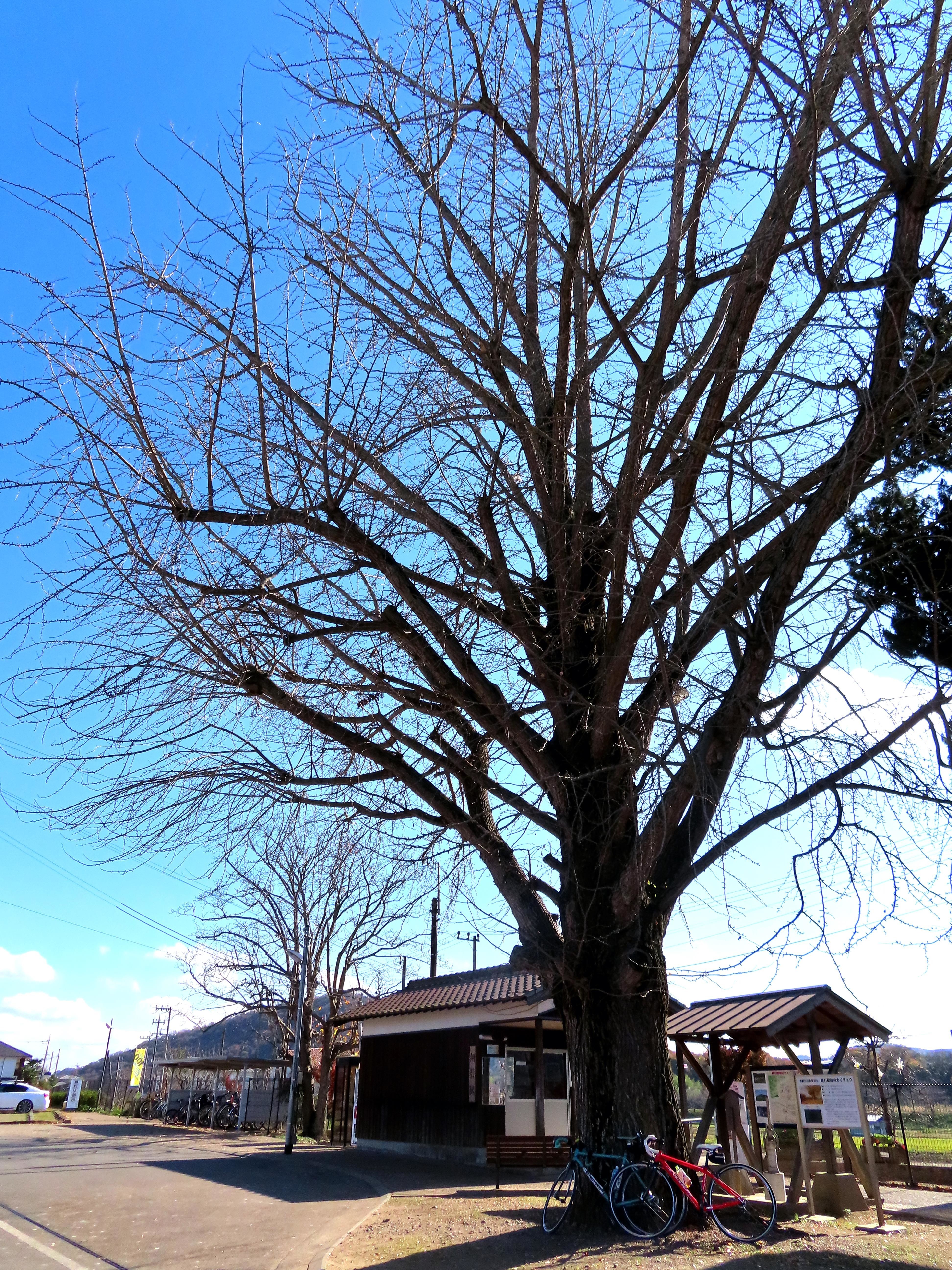 f:id:Jhon_Wells:20201129122705j:plain