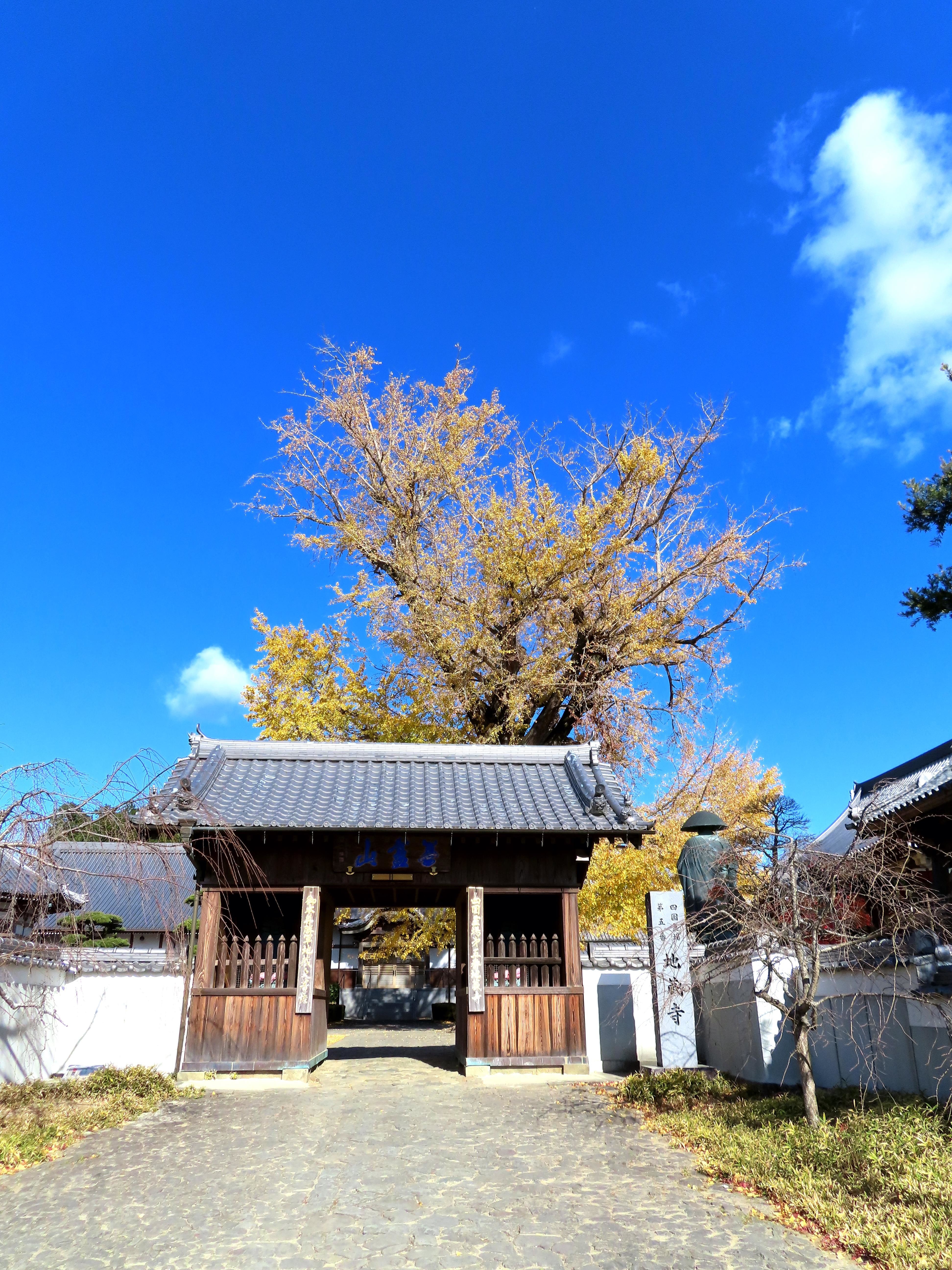 f:id:Jhon_Wells:20201215112901j:plain