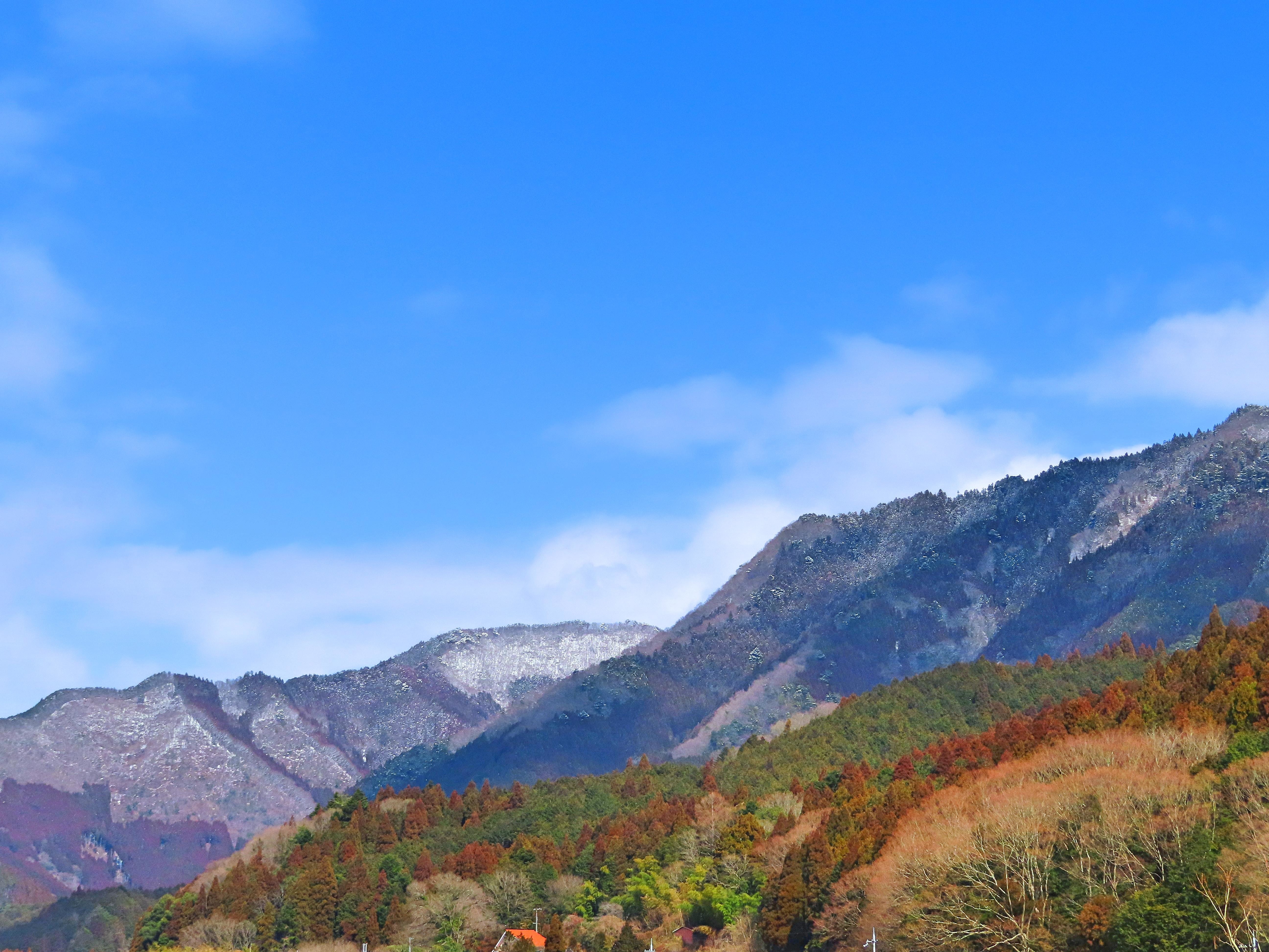 f:id:Jhon_Wells:20210219130530j:plain