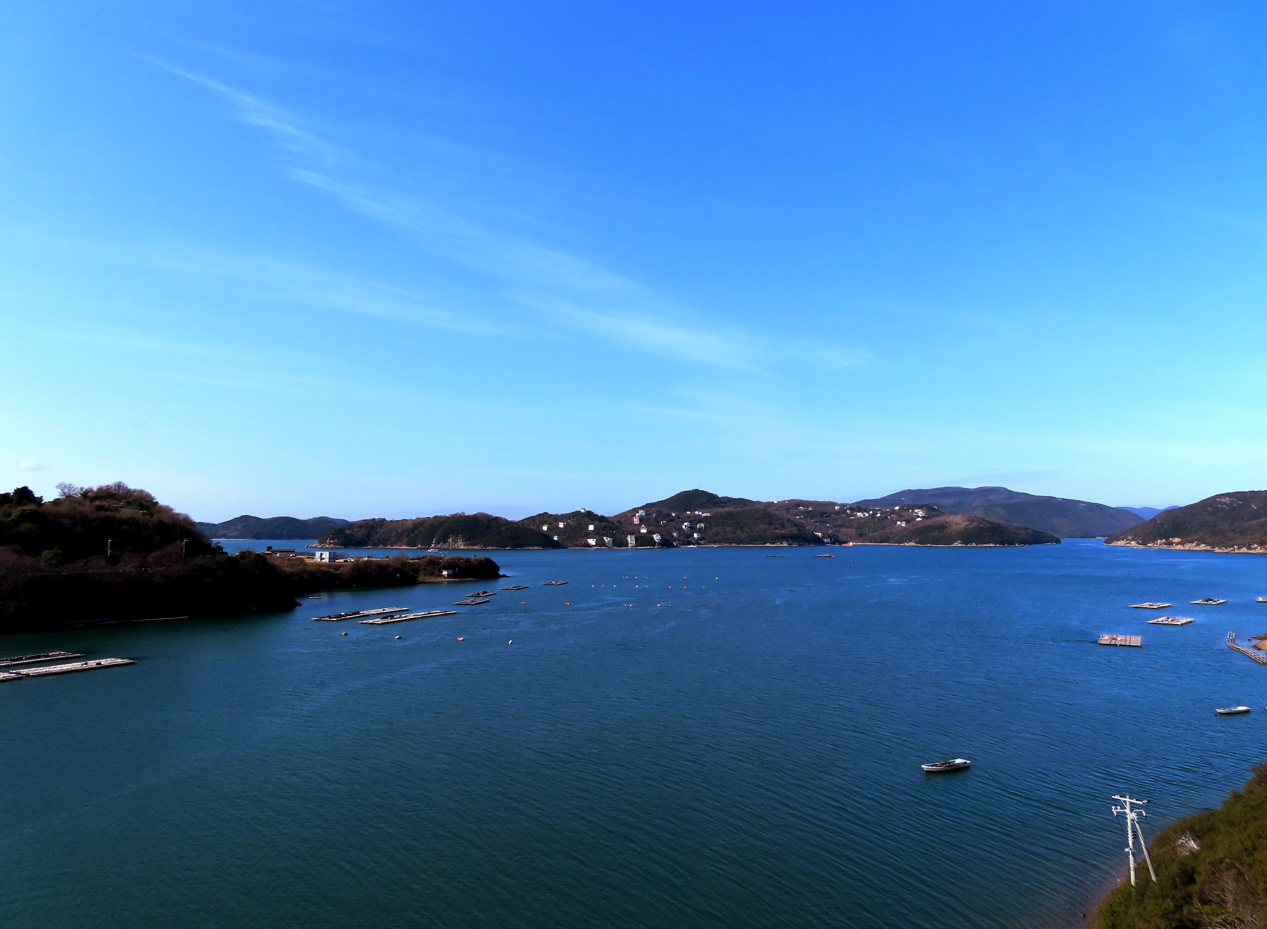 f:id:Jhon_Wells:20210301093225j:plain