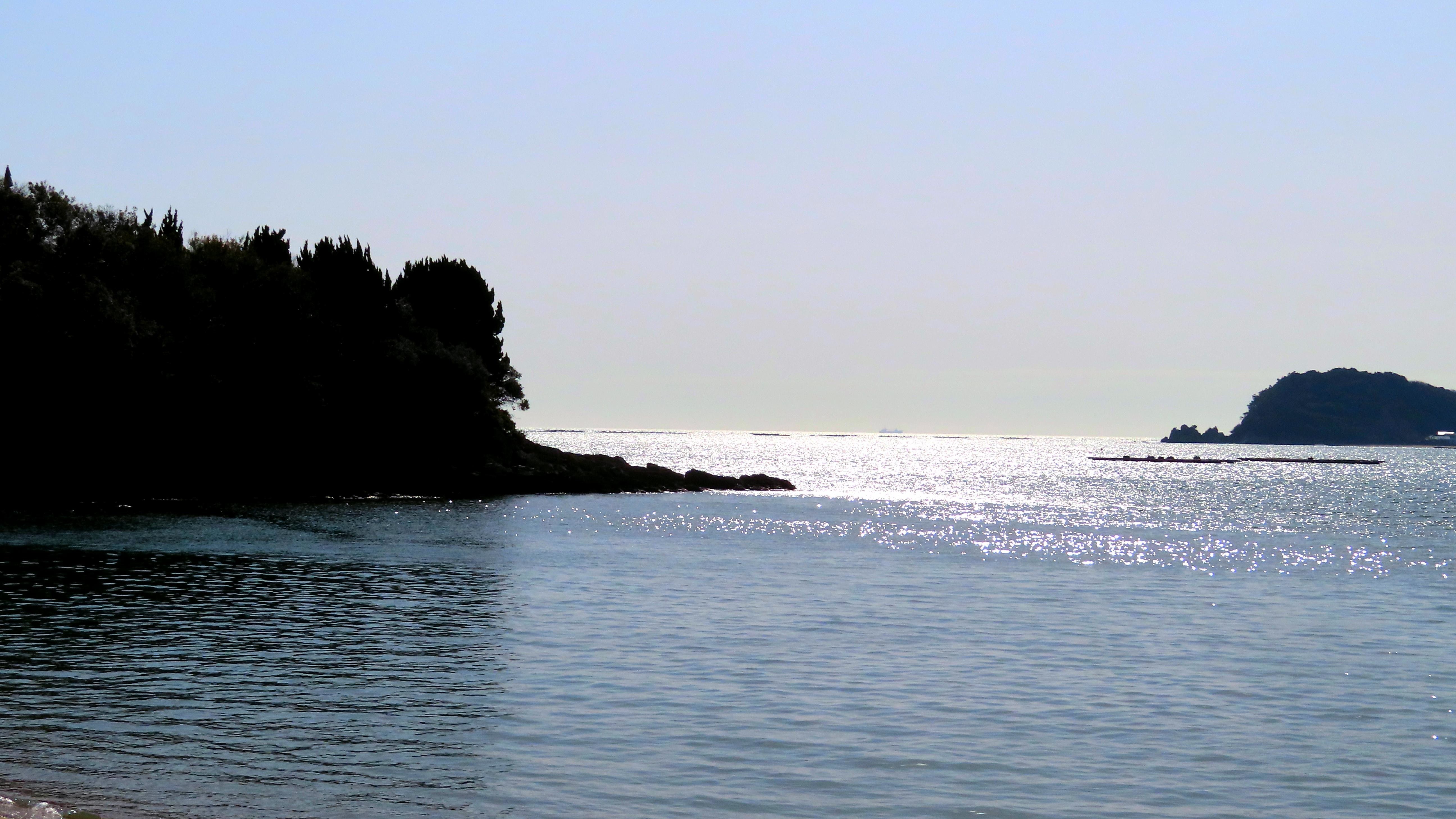 f:id:Jhon_Wells:20210301095724j:plain