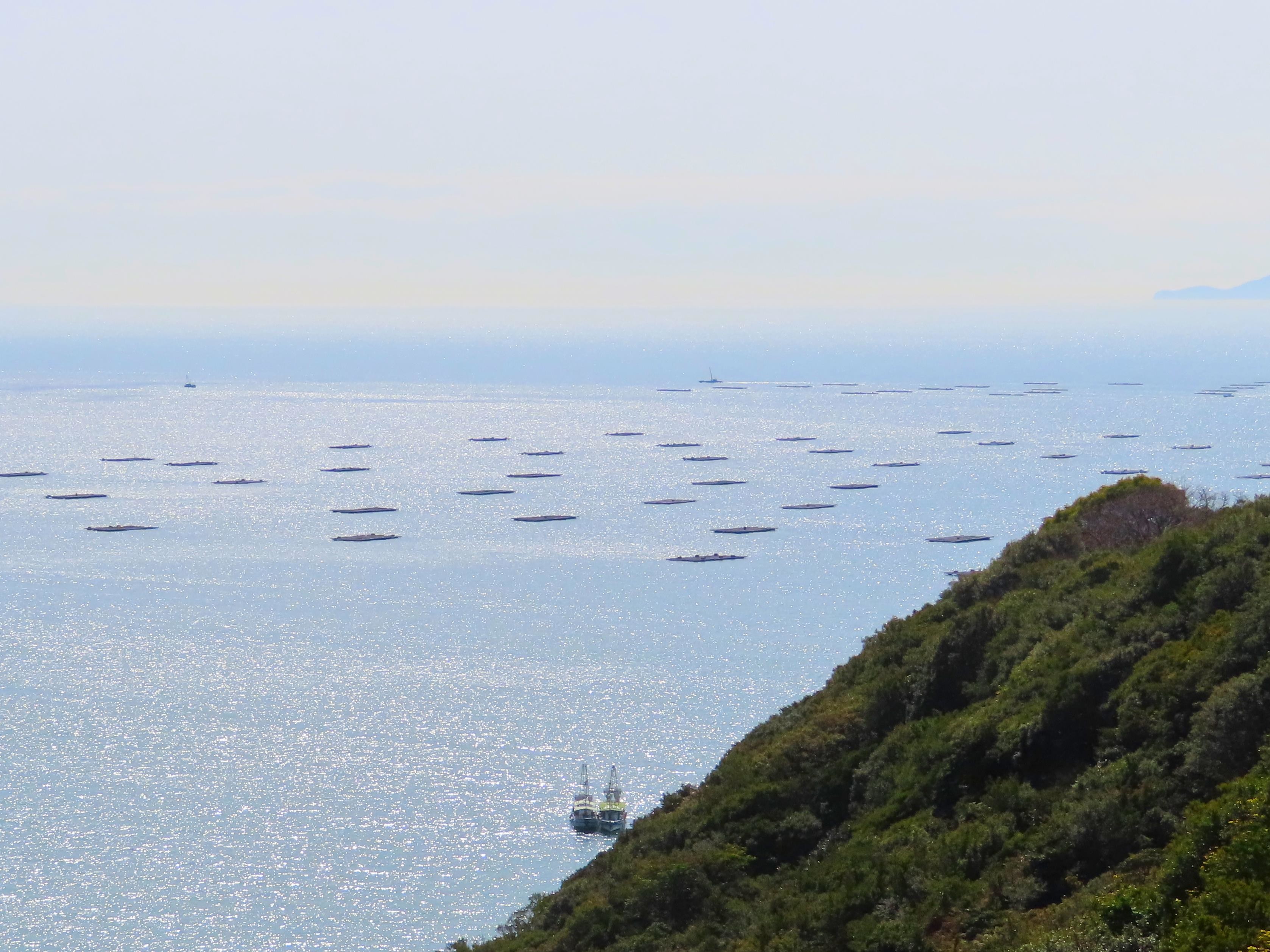 f:id:Jhon_Wells:20210301104704j:plain