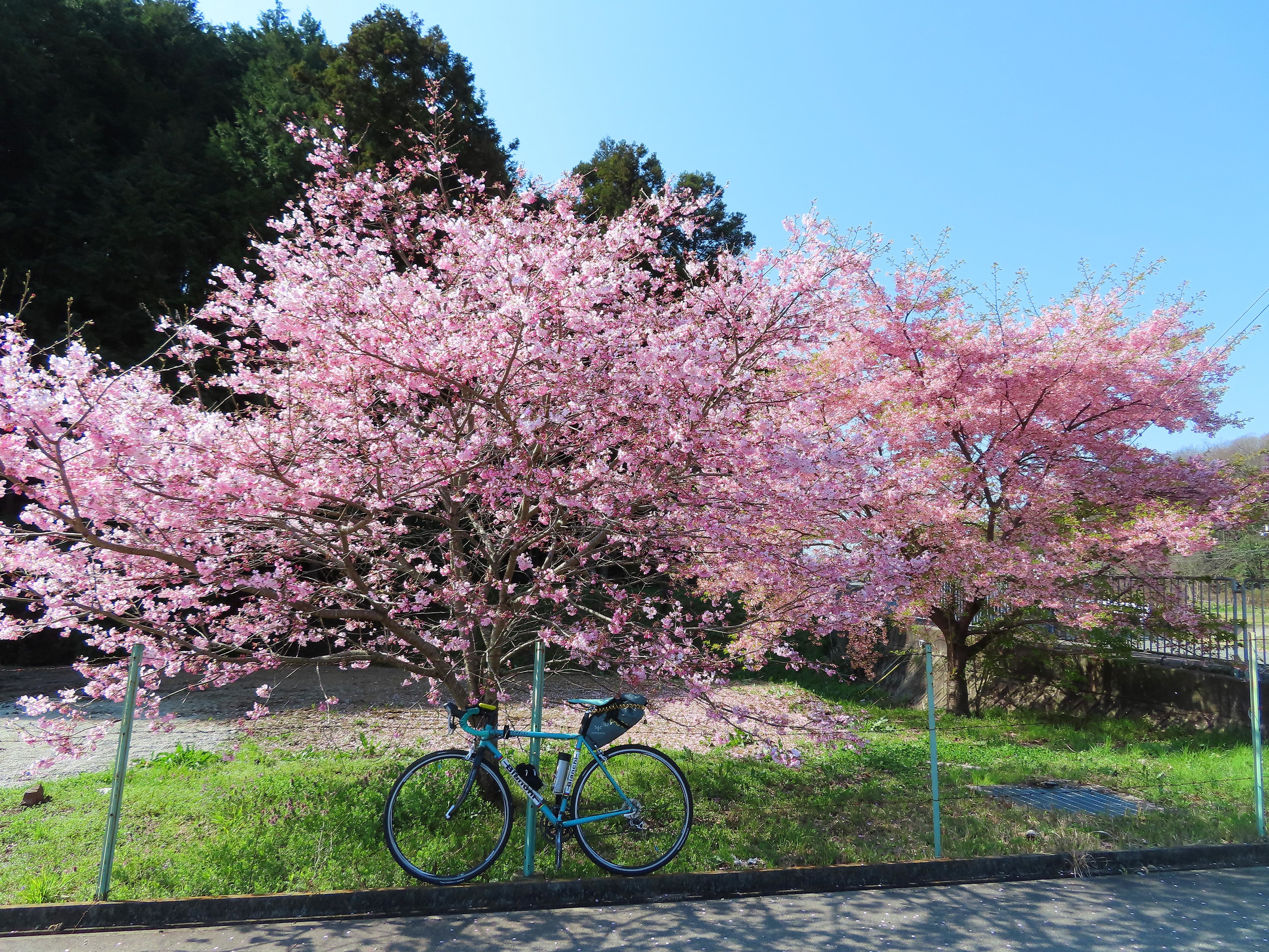 f:id:Jhon_Wells:20210323093743j:plain