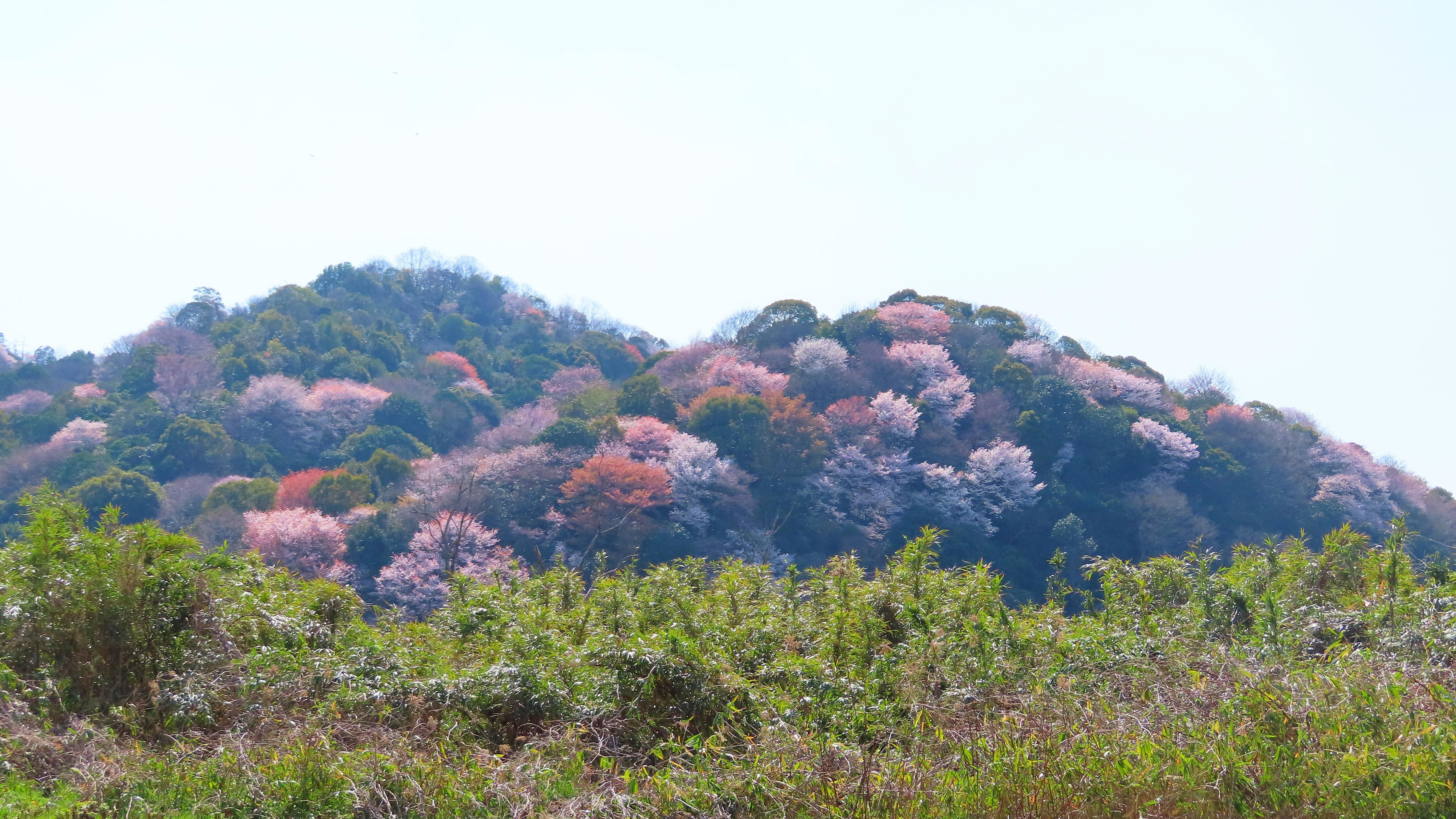 f:id:Jhon_Wells:20210323102906j:plain