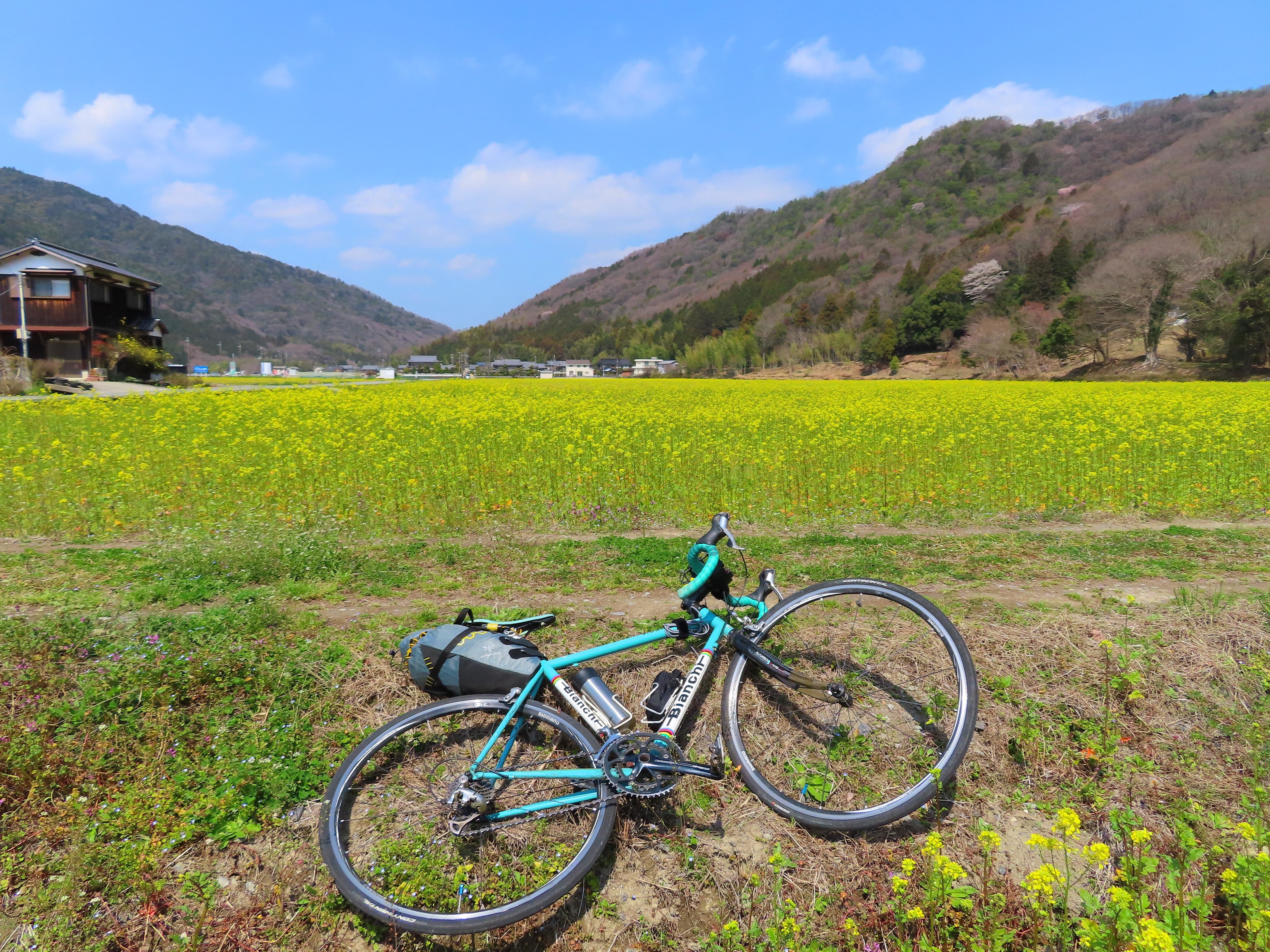 f:id:Jhon_Wells:20210323122623j:plain