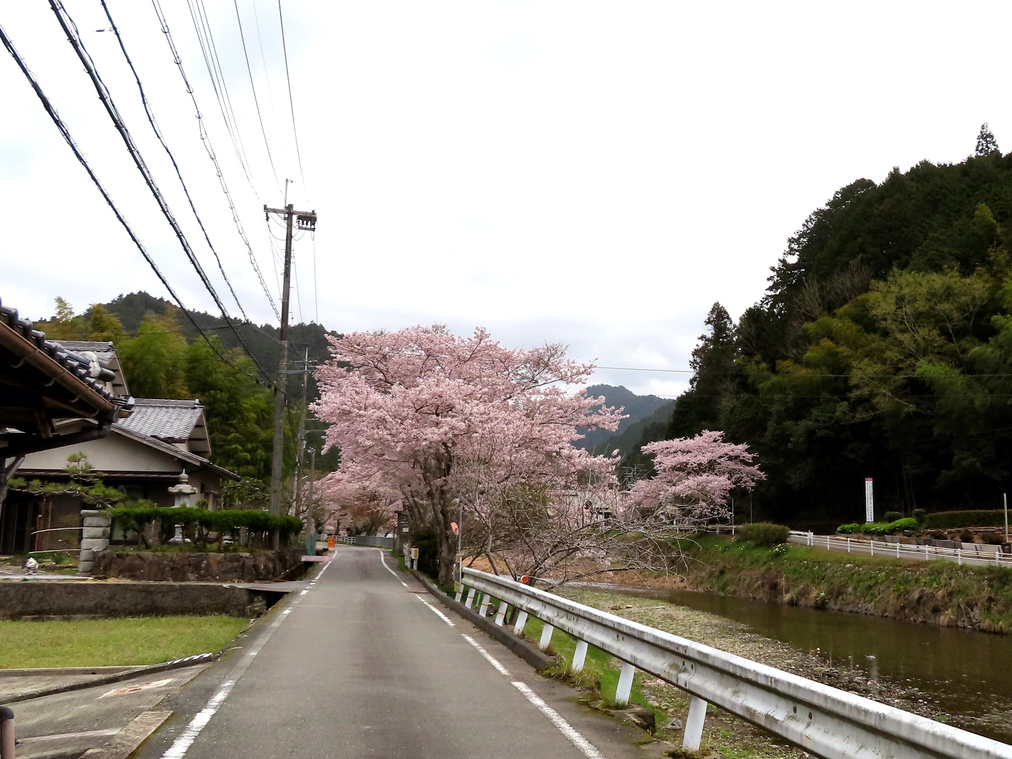 f:id:Jhon_Wells:20210403100413j:plain