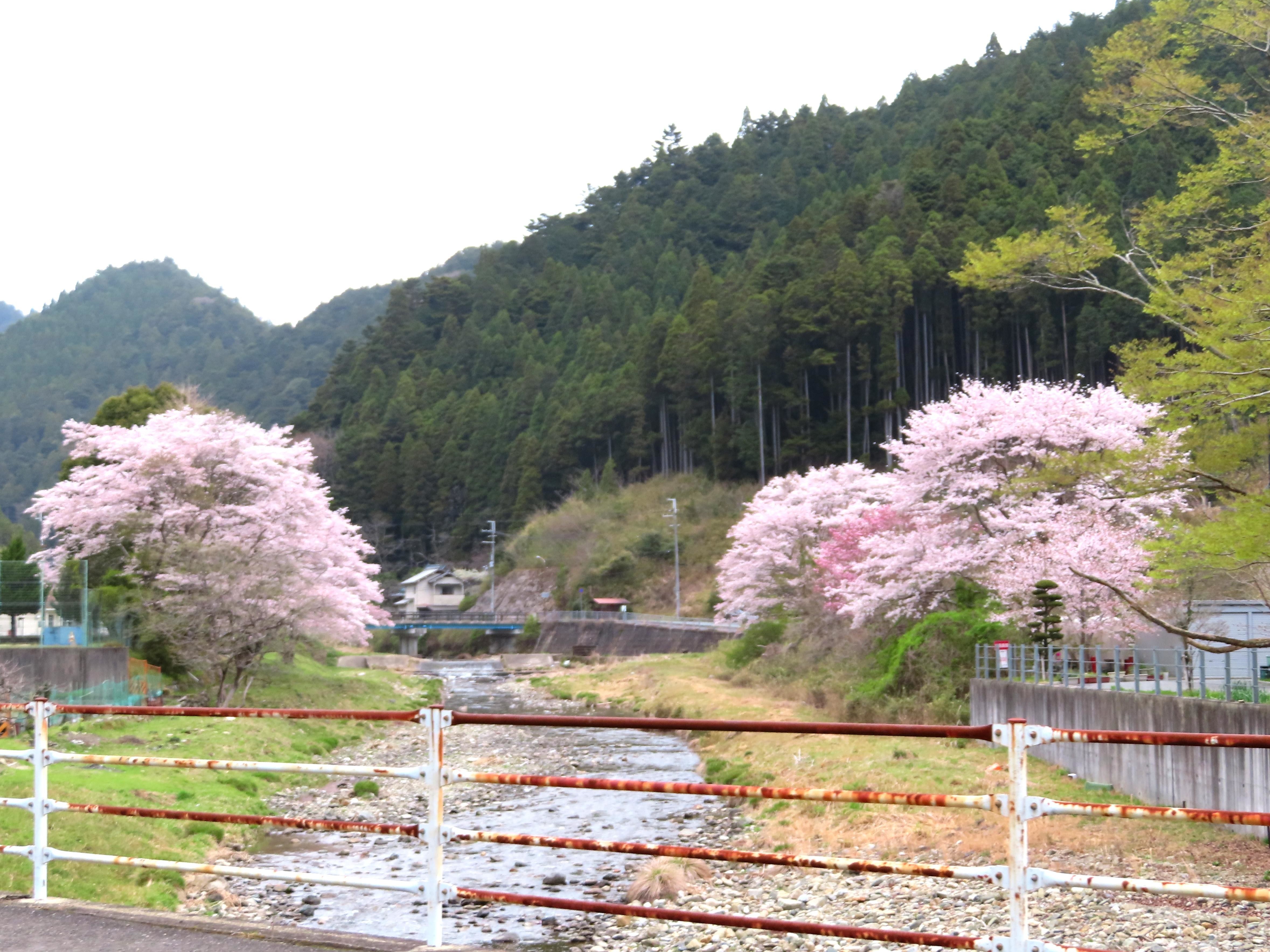 f:id:Jhon_Wells:20210403100519j:plain