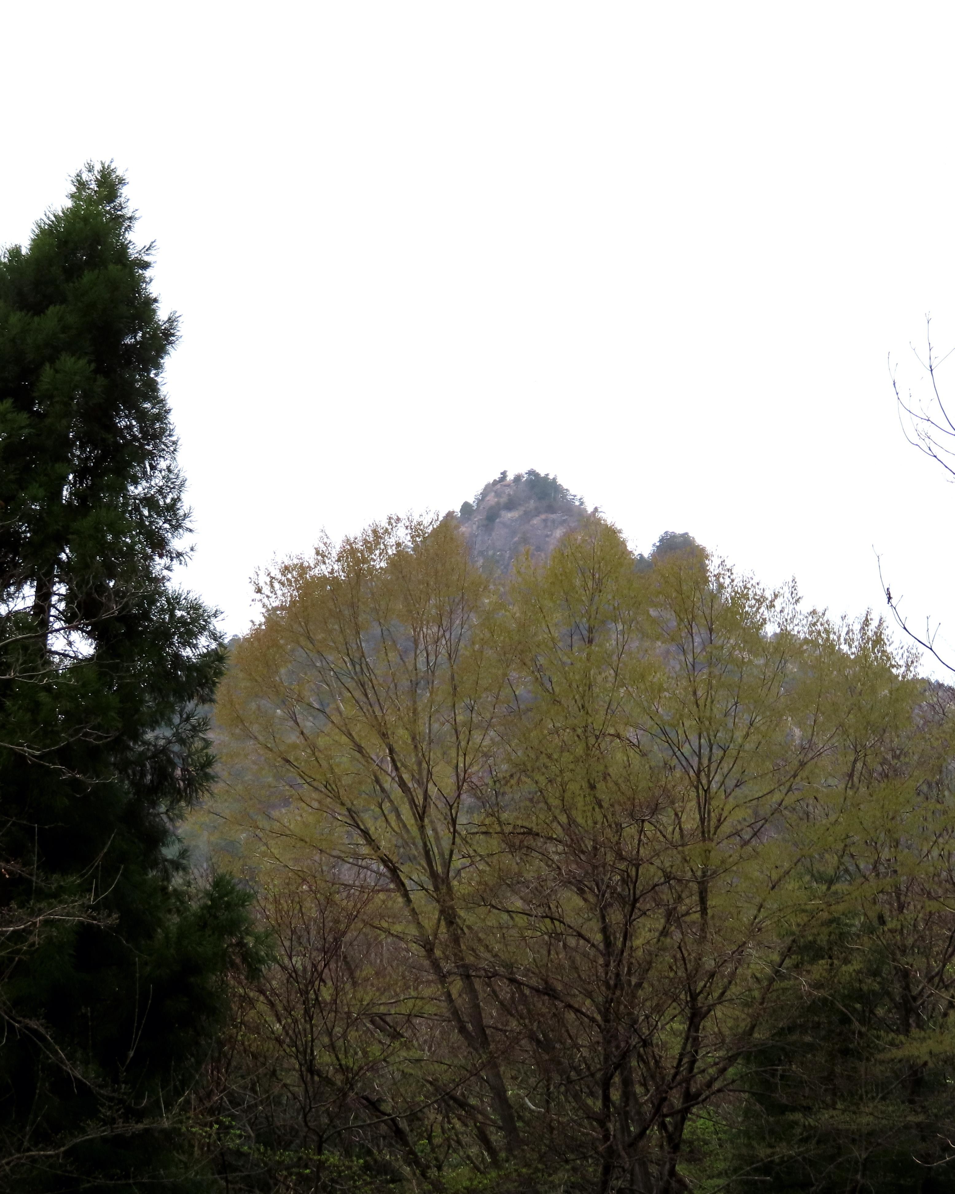 f:id:Jhon_Wells:20210403111702j:plain