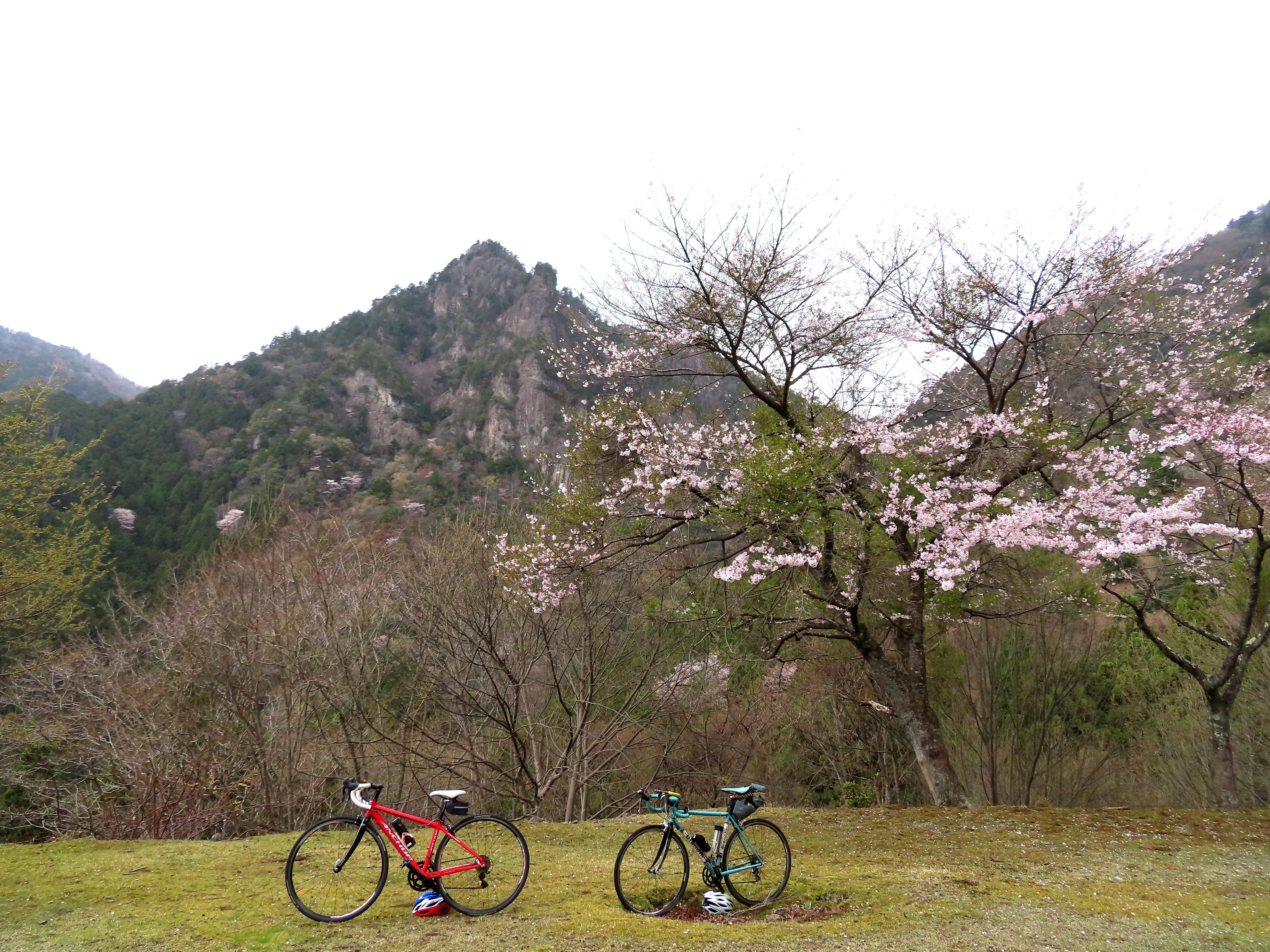 f:id:Jhon_Wells:20210403112139j:plain