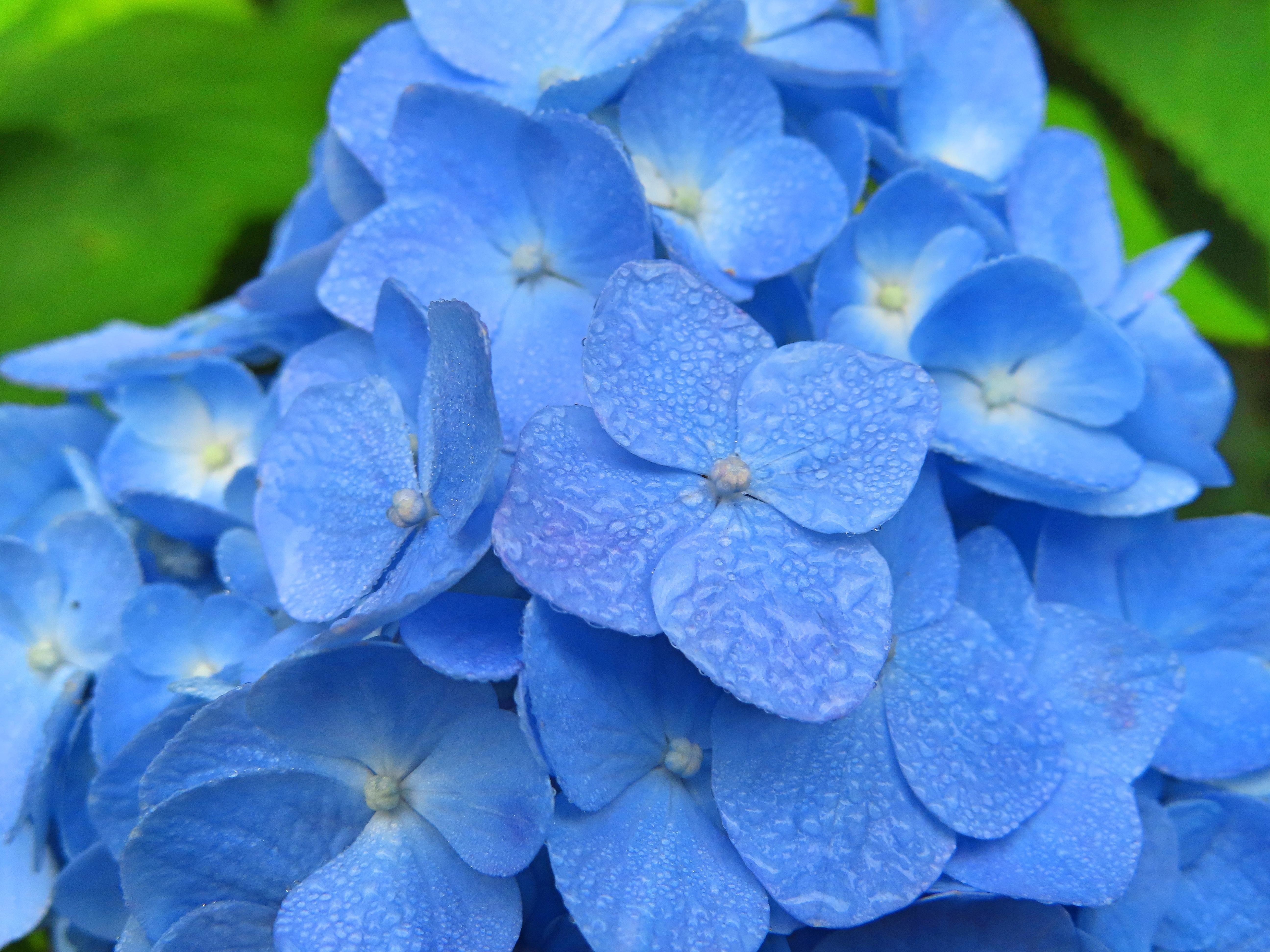 f:id:Jhon_Wells:20210621064030j:plain