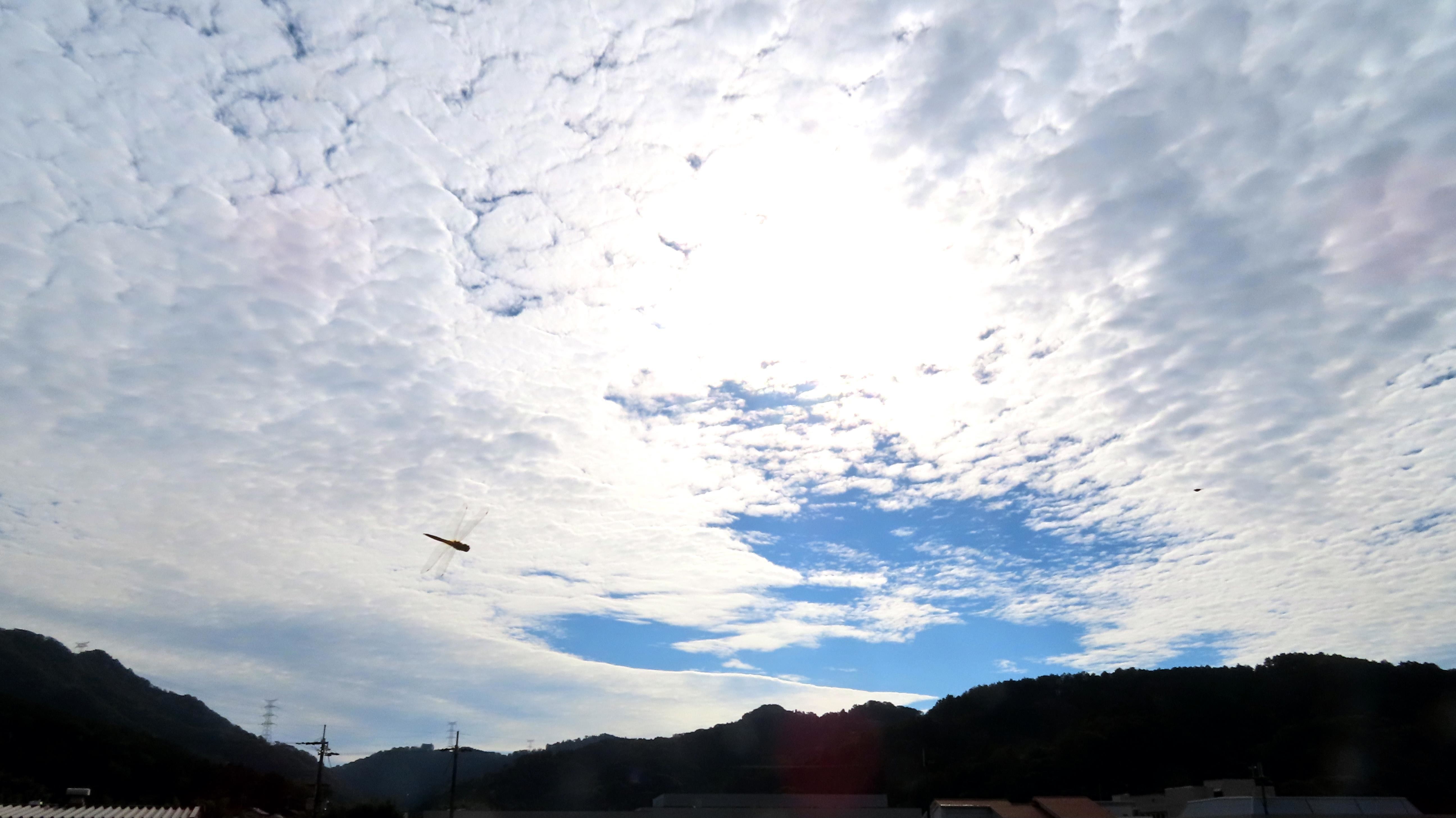 f:id:Jhon_Wells:20210905080220j:plain