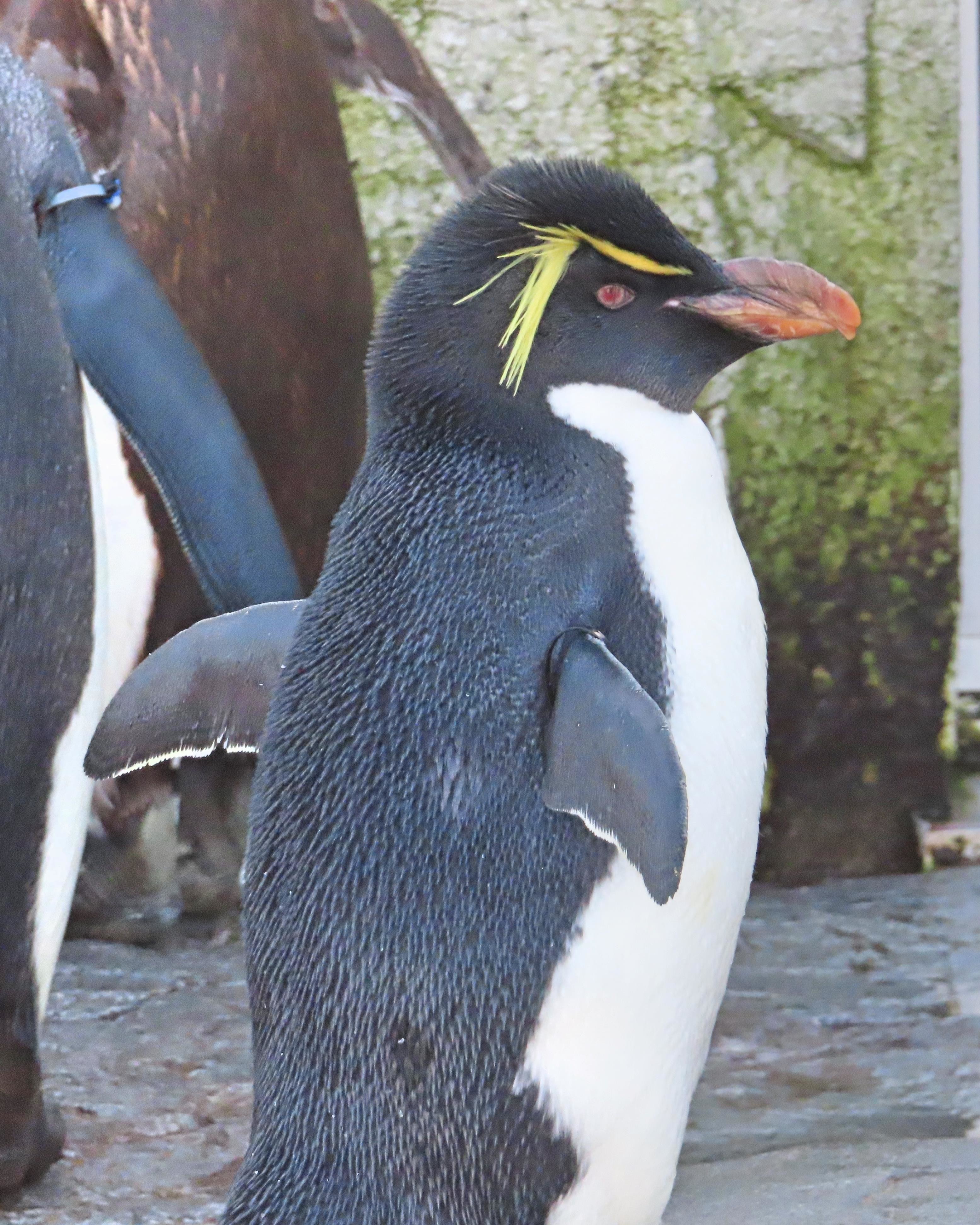 f:id:Jhon_Wells:20211019103145j:plain