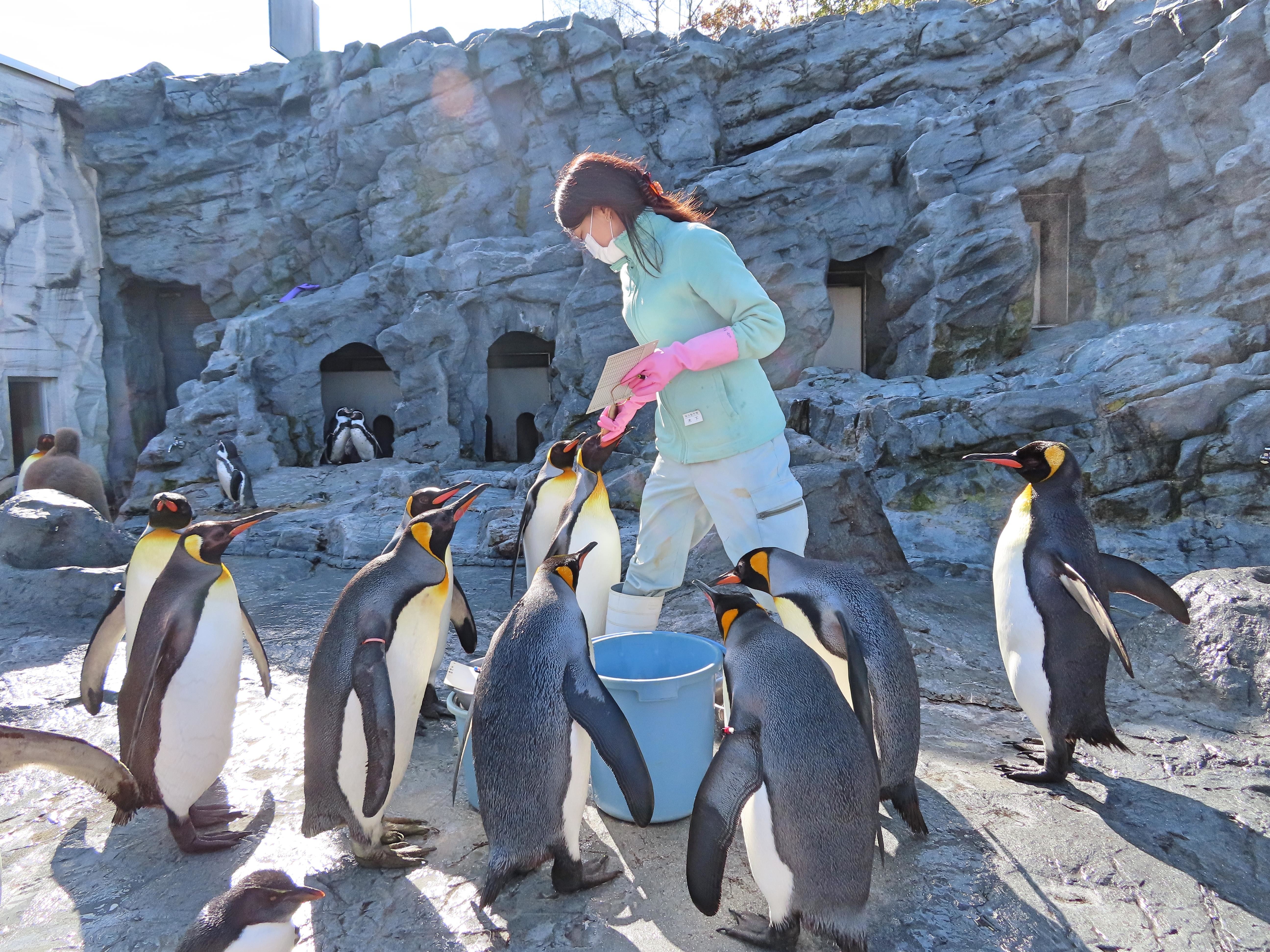 f:id:Jhon_Wells:20211019104004j:plain