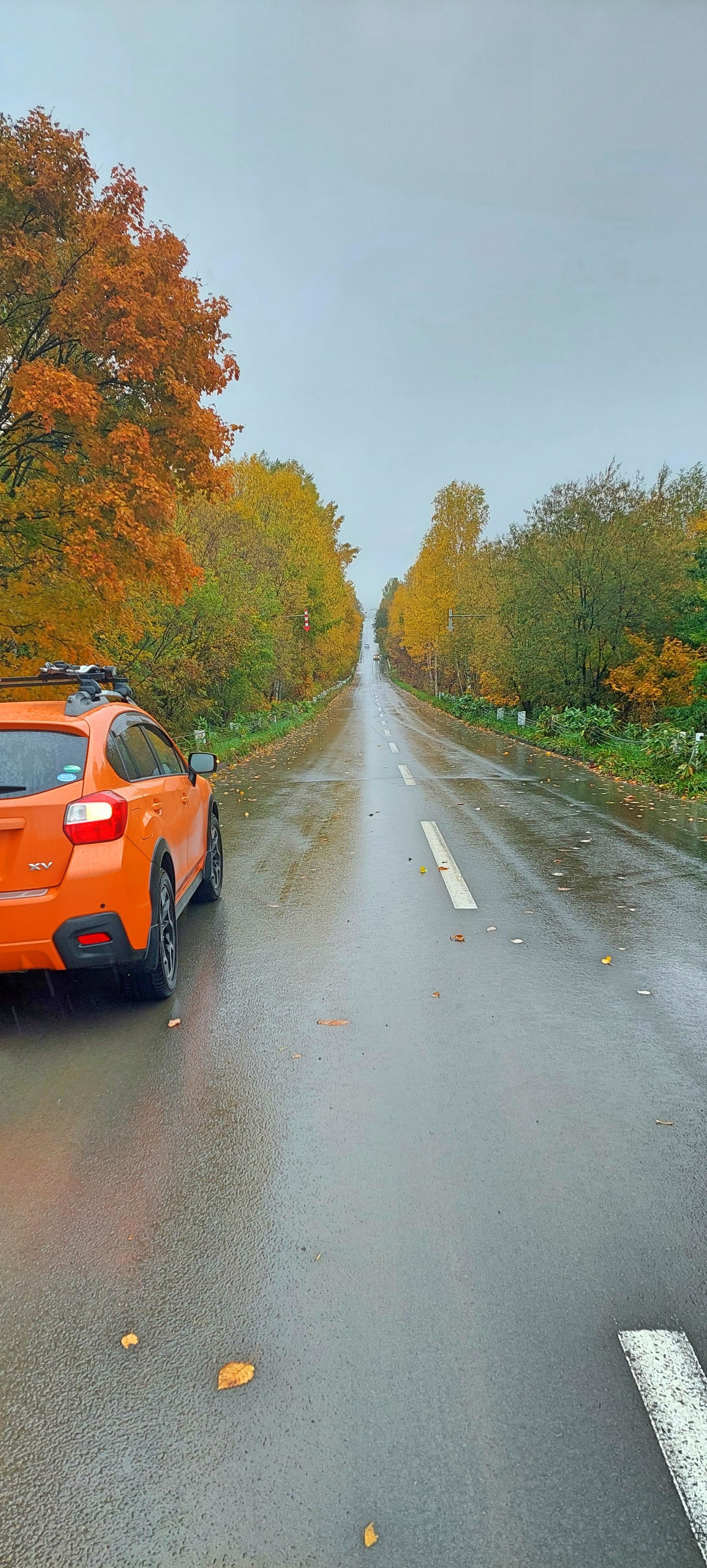 f:id:Jhon_Wells:20211020102648j:plain