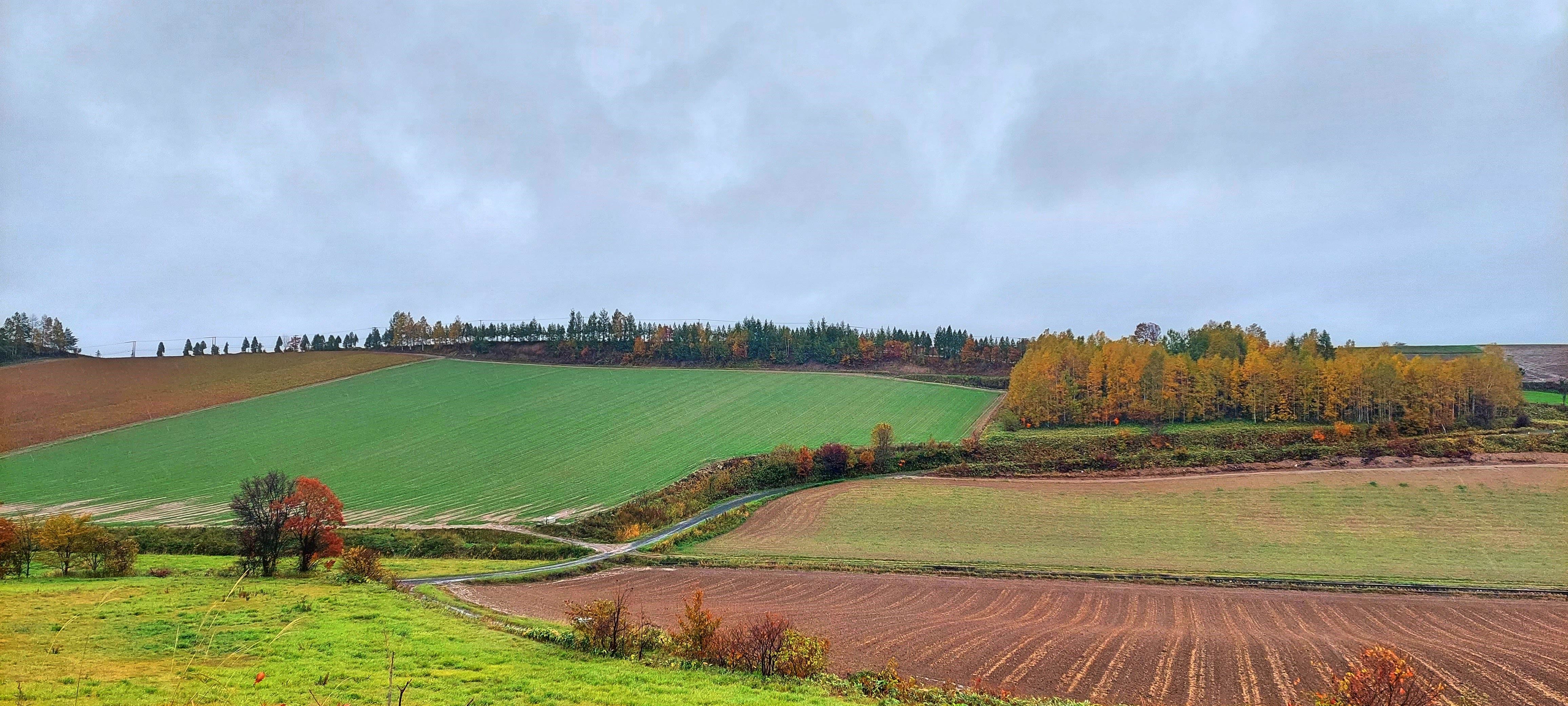 f:id:Jhon_Wells:20211020110133j:plain