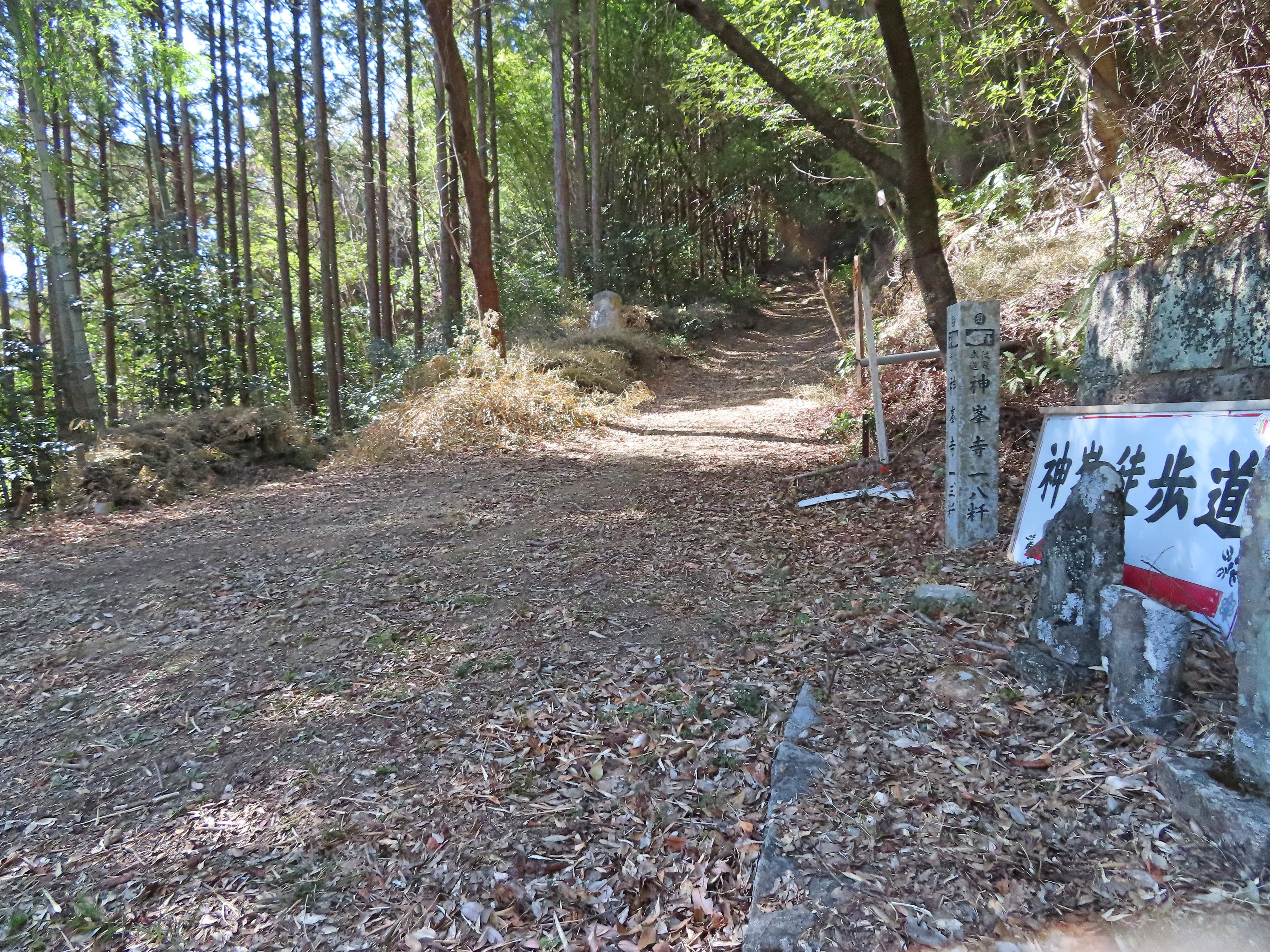 f:id:Jhon_Wells:20220226135341j:plain