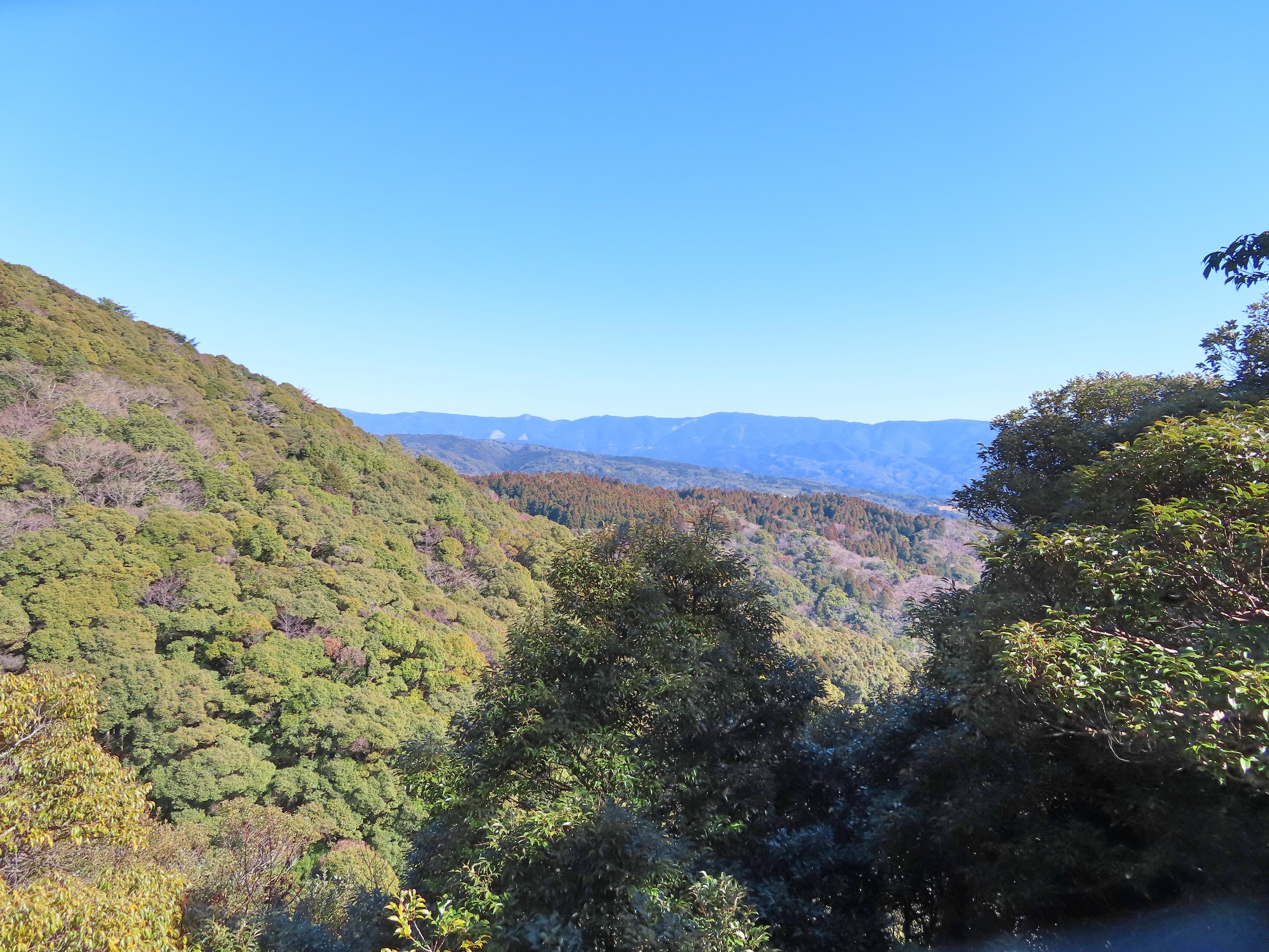 f:id:Jhon_Wells:20220226142249j:plain