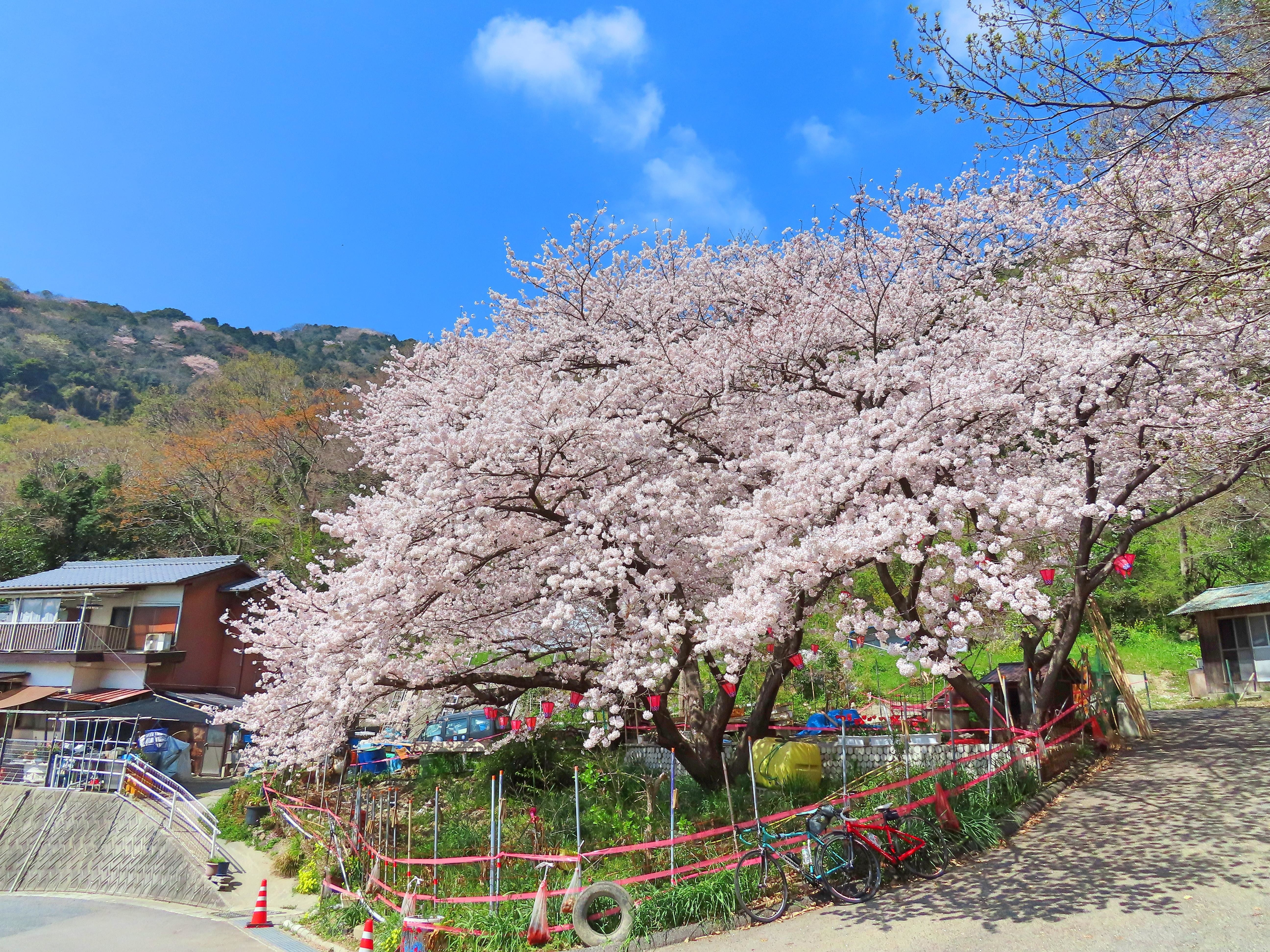 f:id:Jhon_Wells:20220404105145j:plain