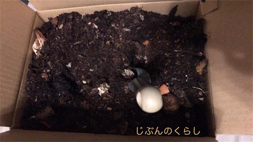 f:id:Jibun-no-Kurashi:20200630105800j:image