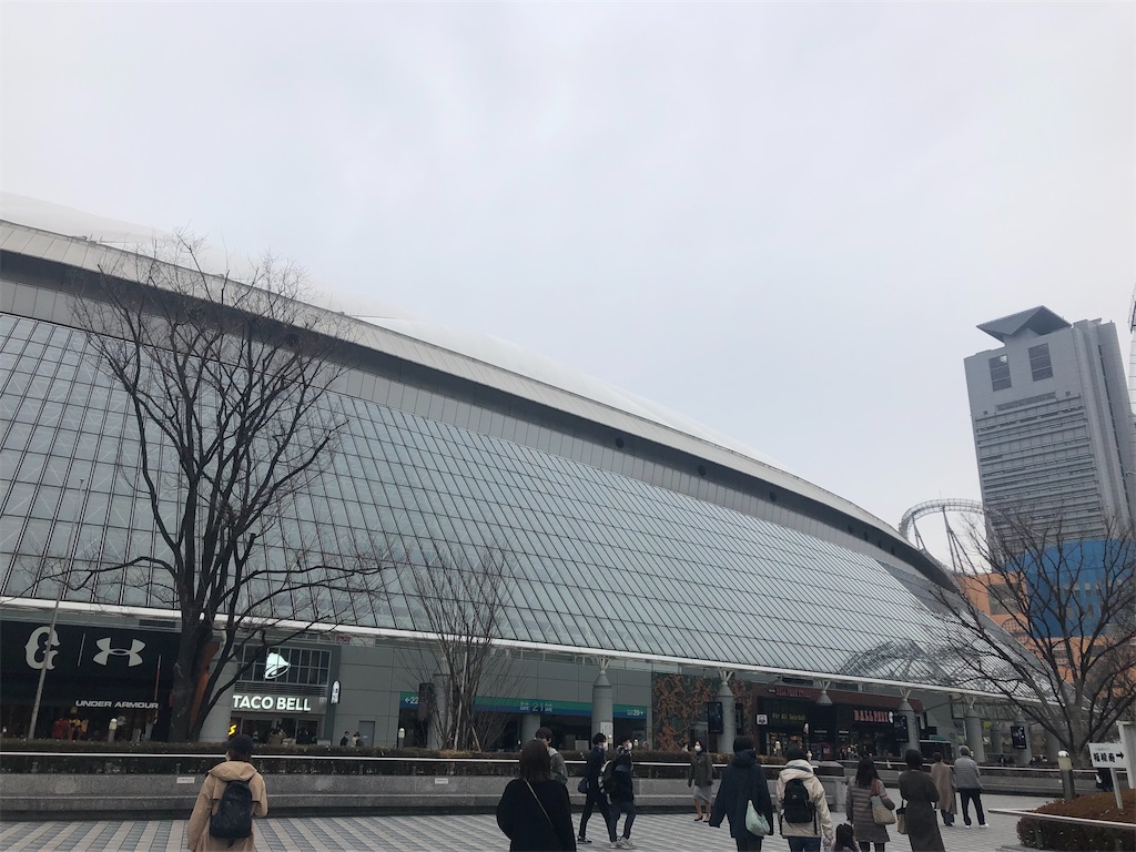 f:id:Jiiig_JPN:20200302112353j:image